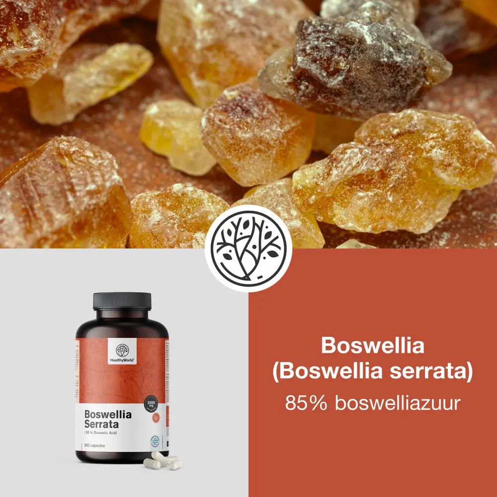 Productfles met capsules. Tekst: Boswellia (Boswellia serrata), 85% boswelliazuur. Merk: HealthyWorld.