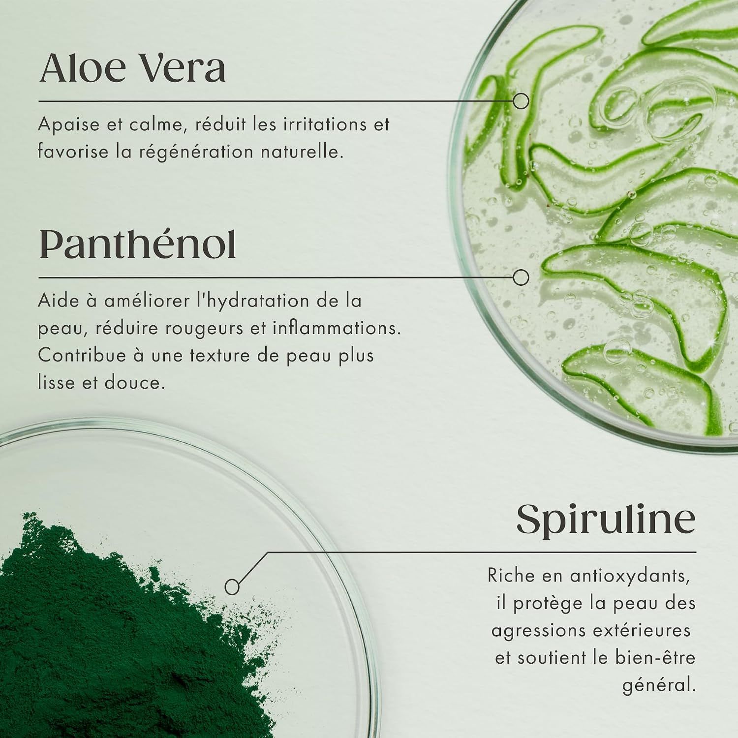 Sérum Aloe Vera SATIN NATUREL : Aloe Vera, Panthénol, Spiruline expliqués.