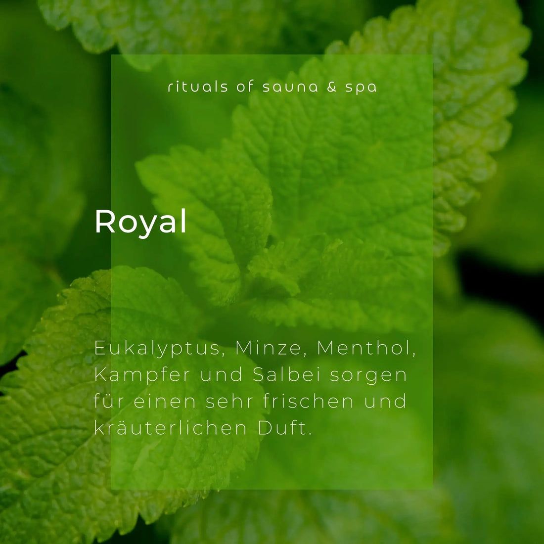 Groen blad met tekst: Royal, Eucalyptus, Munt, Menthol, Kamfer en Salie. Tekst: rituals of sauna & spa.