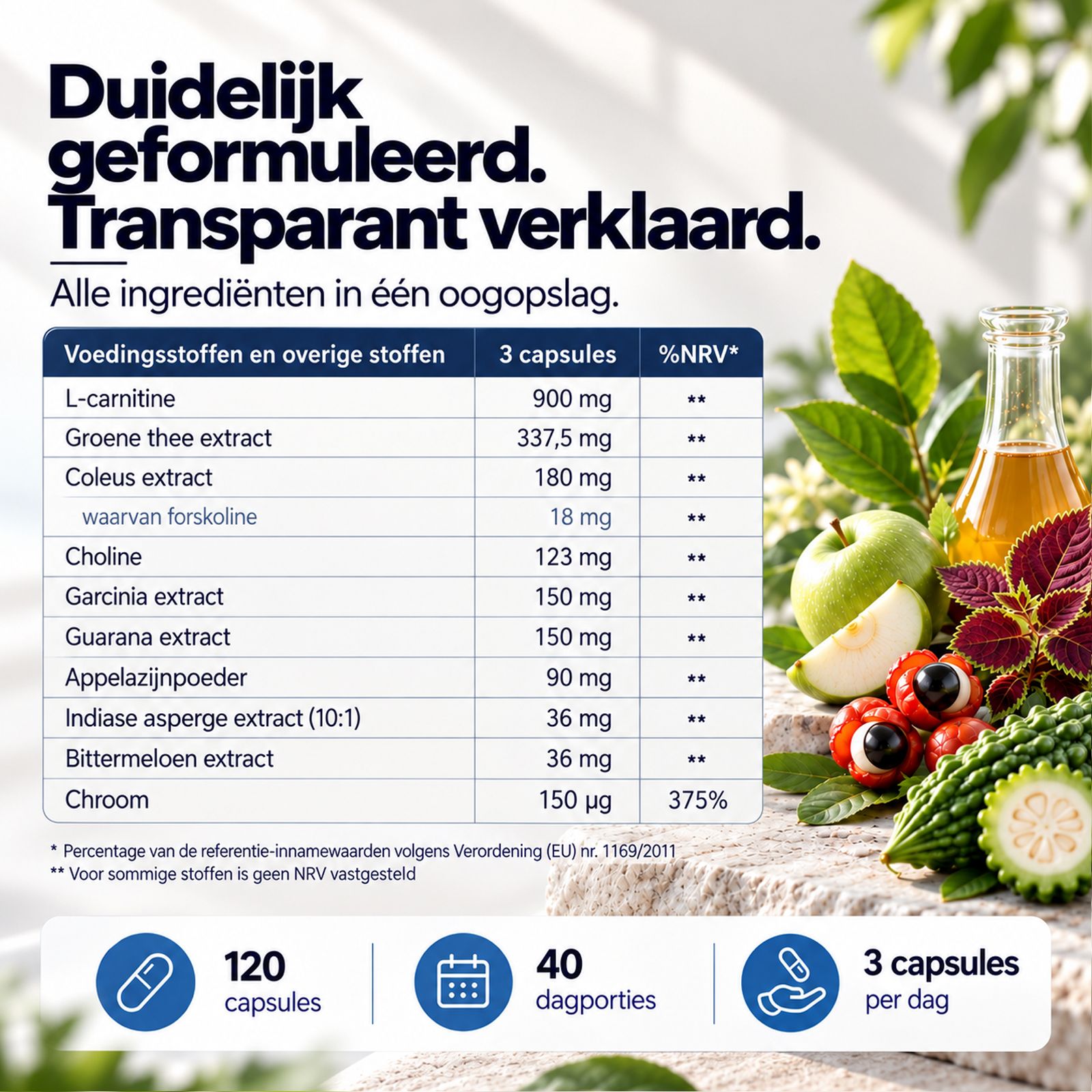 Overzicht ingrediënten SonneSee Stoffwechsel Komplex: L-Carnitine, groene thee extract, Choline, Chroom.