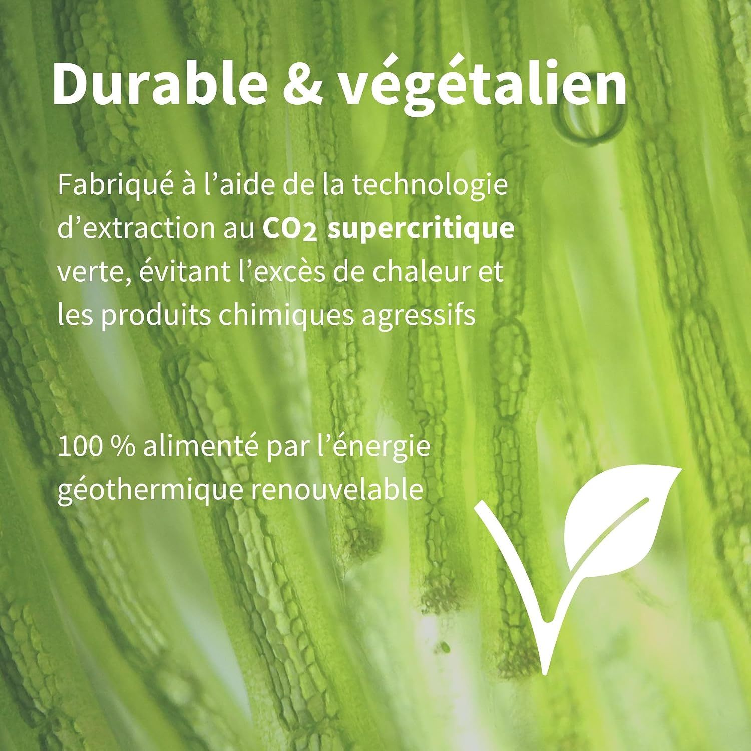 Infographie avec une bouteille d'astaxanthine, expliquant les avantages tels que la puissance antioxydante et la biodisponibilité en néerlandais.