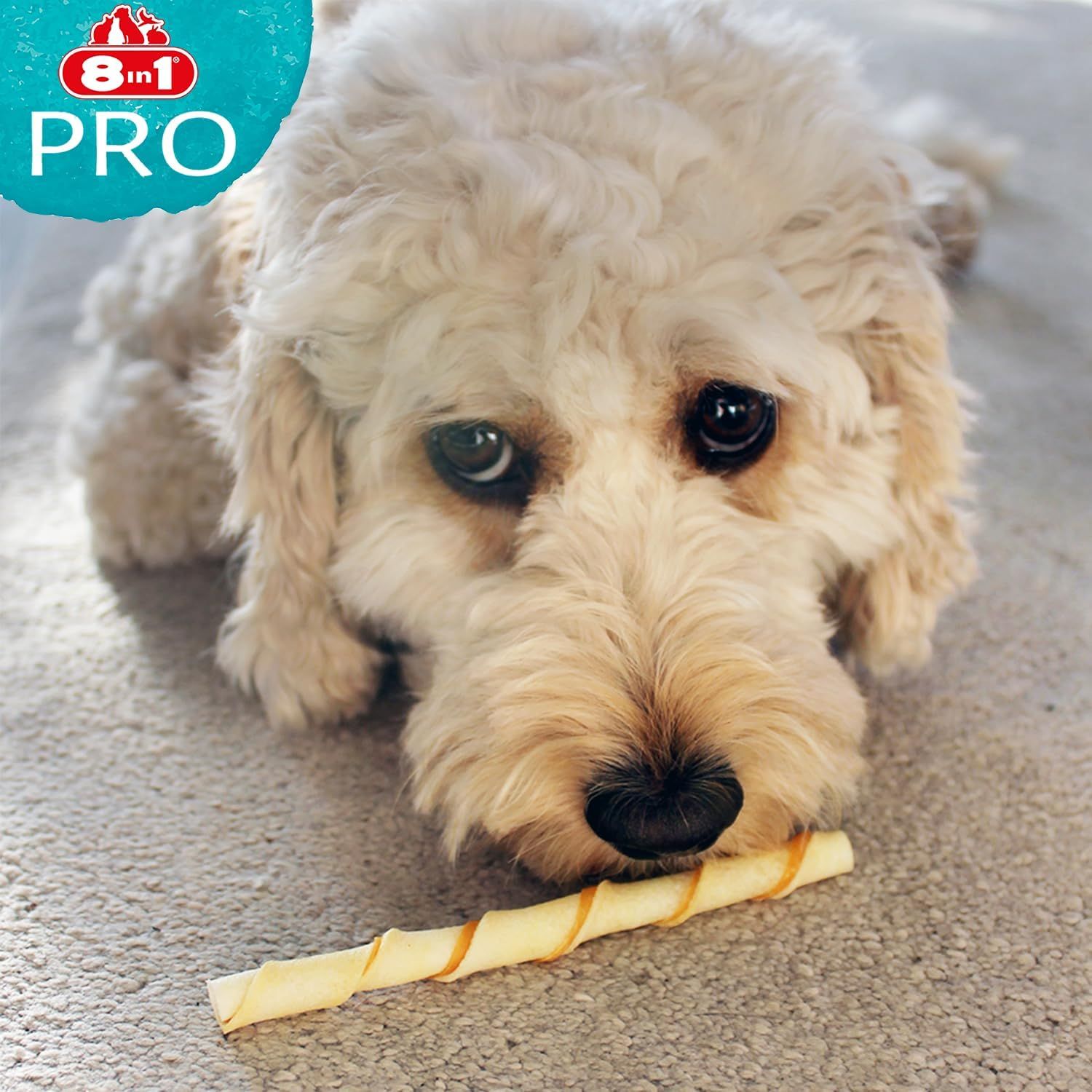 Een hond ligt op een kleed en kijkt naar een gedraaide kauwbot. Links bovenaan is het logo "8in1 PRO" zichtbaar.