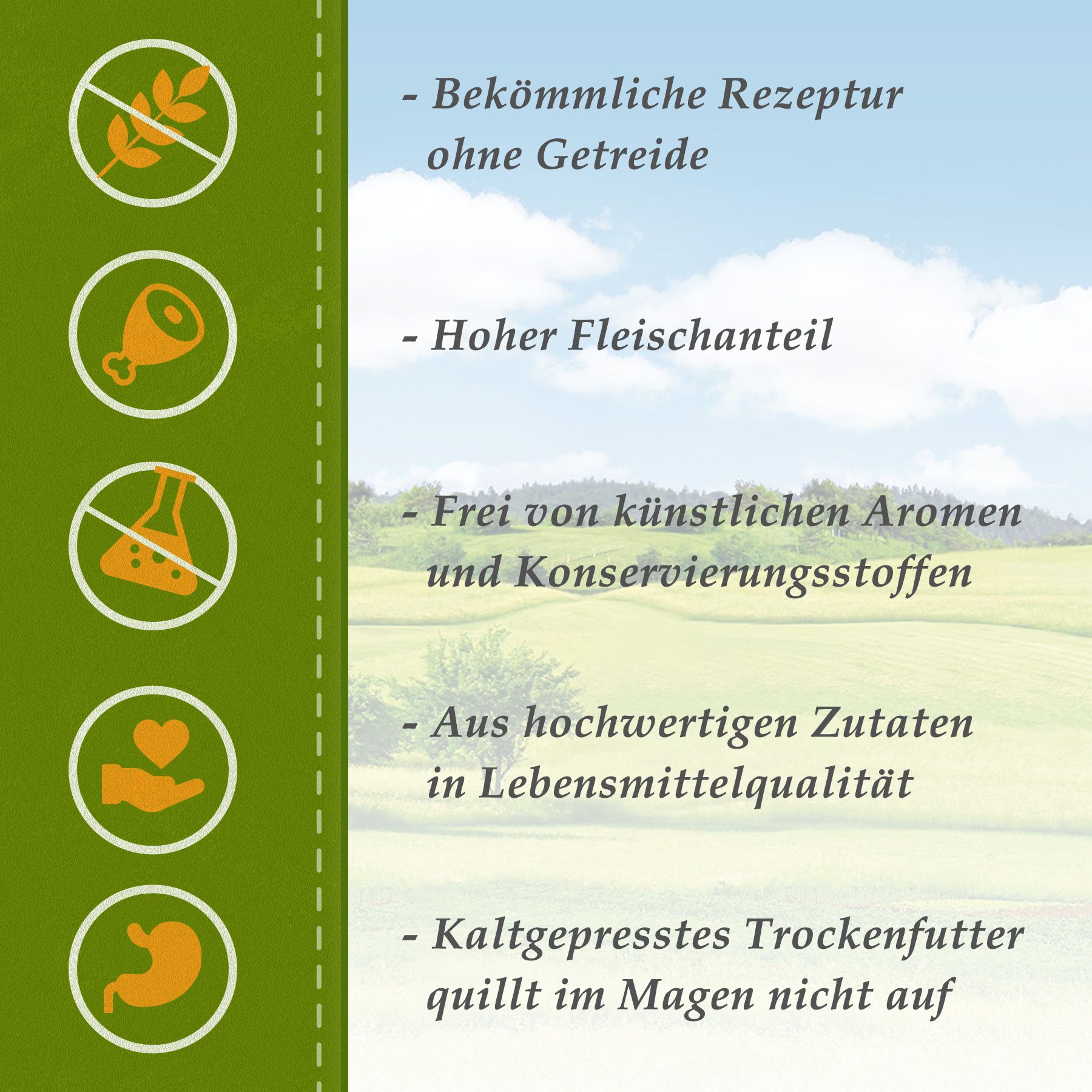 Infographic met tekst en iconen. Beschrijft eigenschappen van hondenvoer: graanvrij, hoog vleesgehalte, zonder kunstmatige toevoegingen.