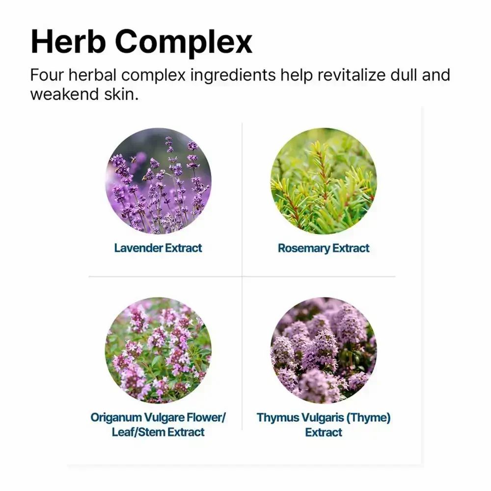 Vier cirkels met kruidenextracten: Lavendel, Rozemarijn, Oregano, Tijm. Tekst: Herb Complex. Blauwe achtergrond.