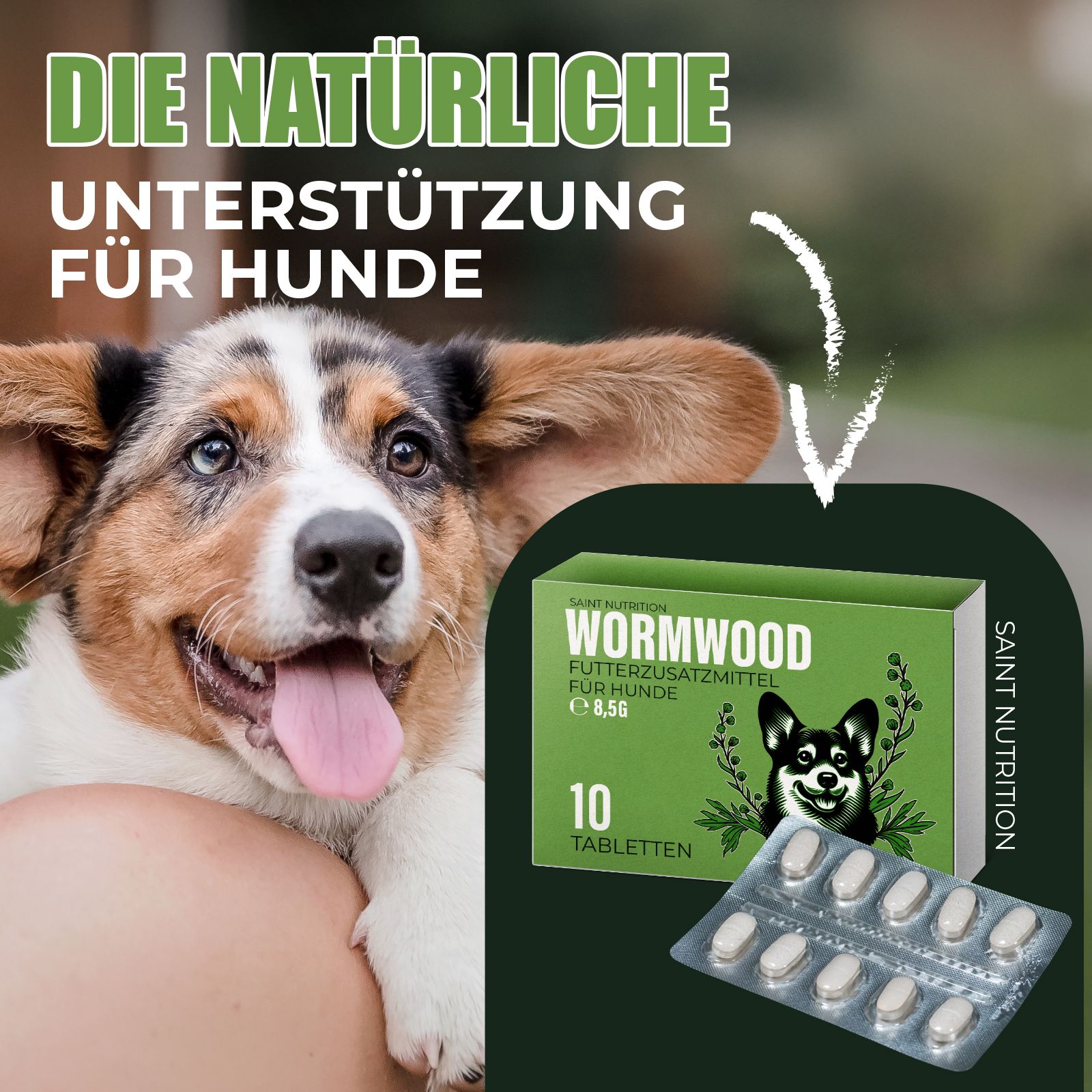 Emballage et comprimés à côté d'un chien. Texte : Saint Nutrition, Wurmwood, complément alimentaire pour chiens. 10 comprimés. E 8,5g. Soutien naturel.
