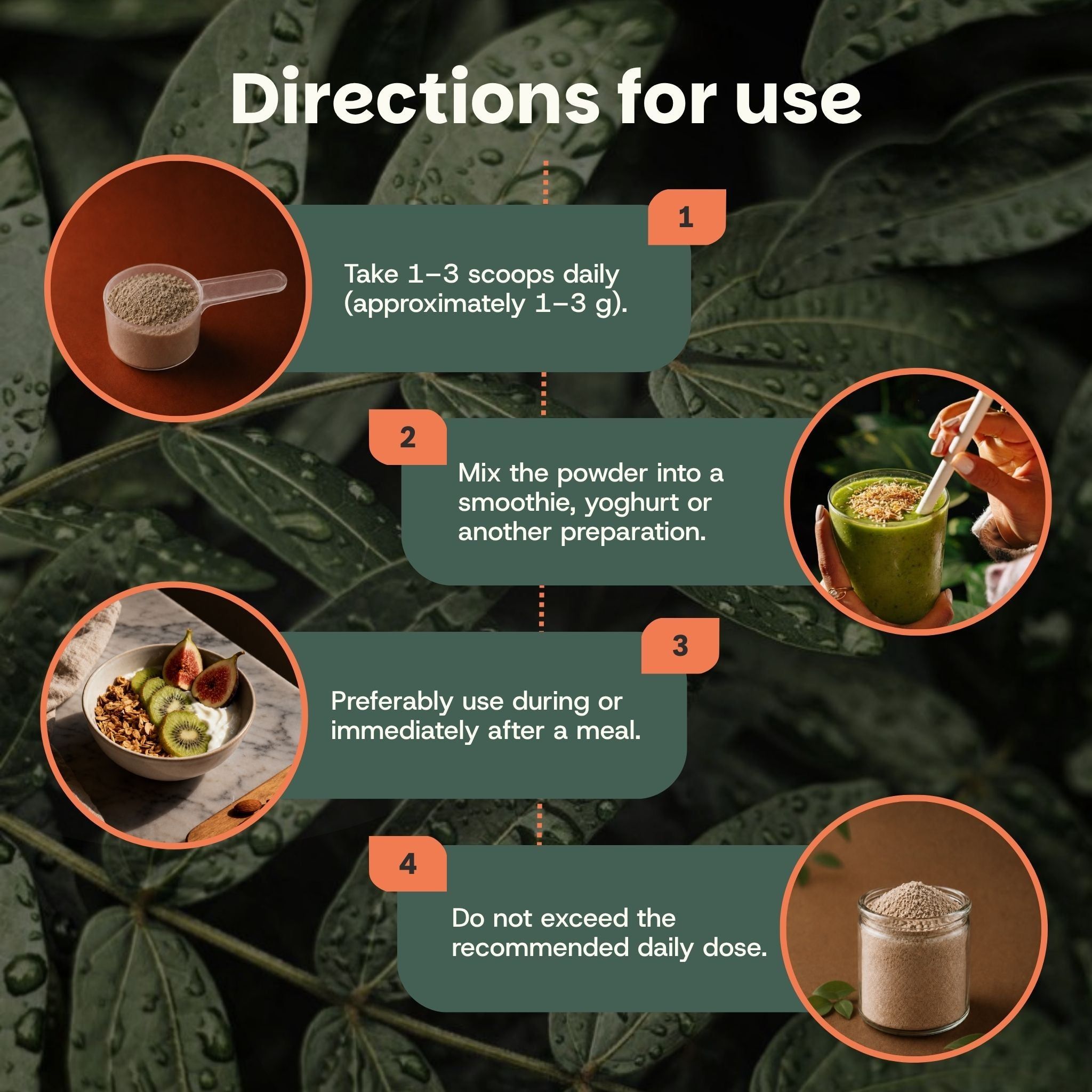 Instructions d'utilisation de la poudre de Chaga : dosage, mélange, moment de la prise, dose quotidienne.