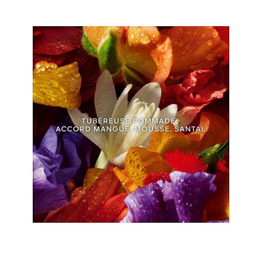 Close-up van kleurrijke bloemblaadjes. Tekst: TUBÉREUSE POMMADE, ACCORD MANGUE MOUSSE, SANTAL.