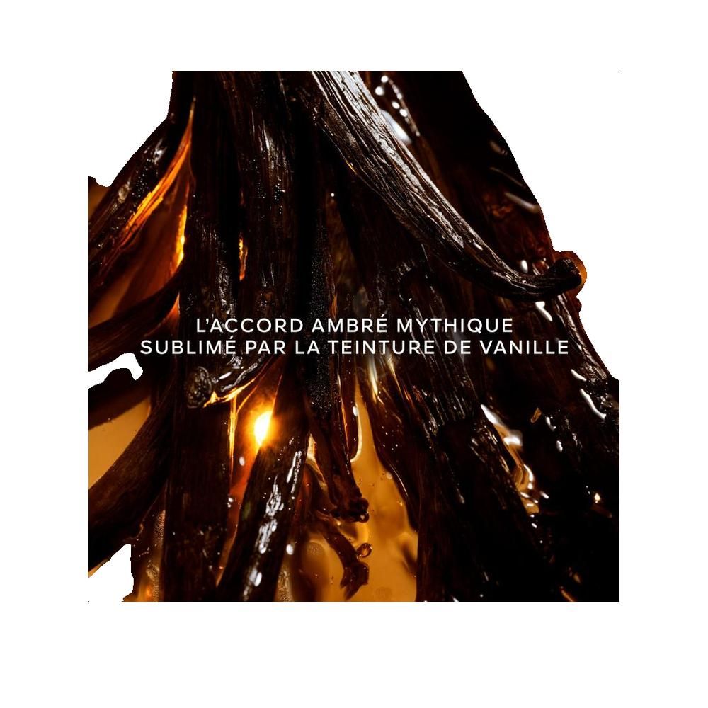 Guerlain Shalimar Essence Eau de Parfum Intense 50 ml