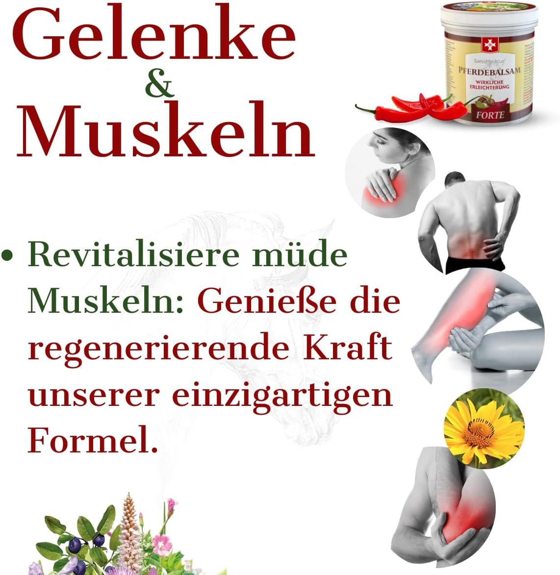 Graphique avec texte 'Articulations & Muscles', image produit et représentations de douleurs à l'épaule, au dos, à la jambe et au coude.