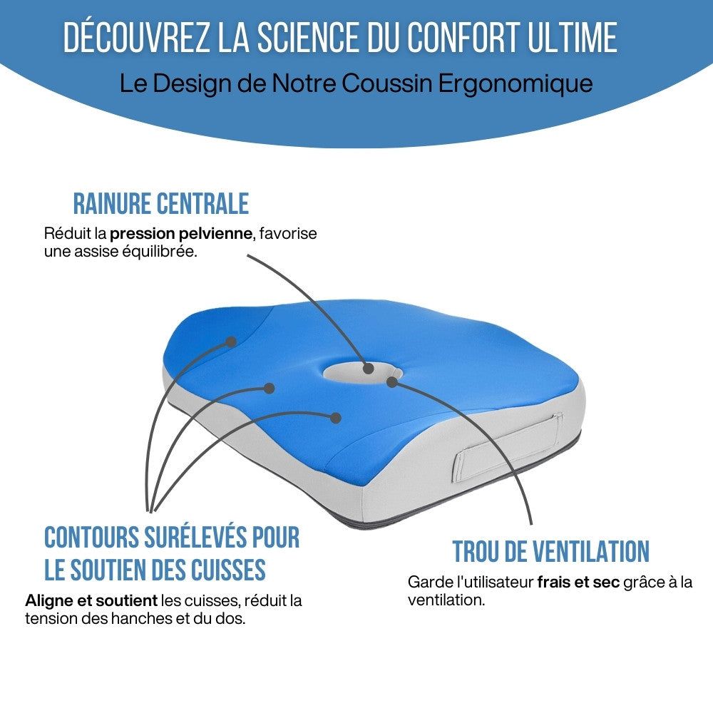 INPHYSIO Coussin de siège ergonomique, mousse mémoire