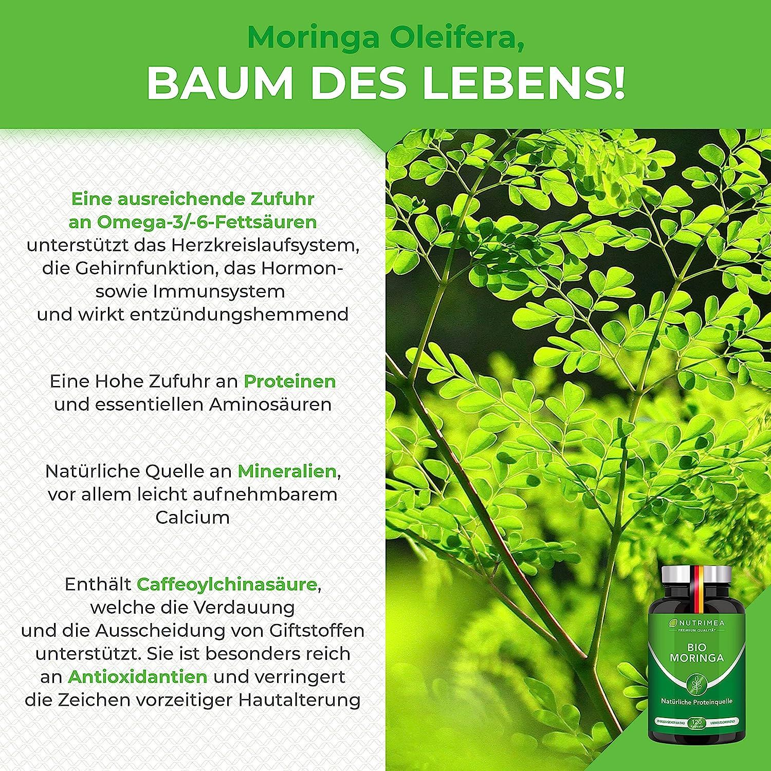 Tekst over Moringa Oleifera, boom des levens. Tekstfragmenten en een fles BIO Moringa.