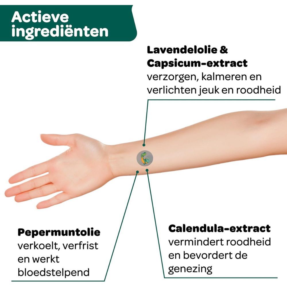Arm met pleister. Diagram toont ingrediënten: pepermuntolie, lavendelolie & chili-extract, calendula-extract. Tekst in het Nederlands.