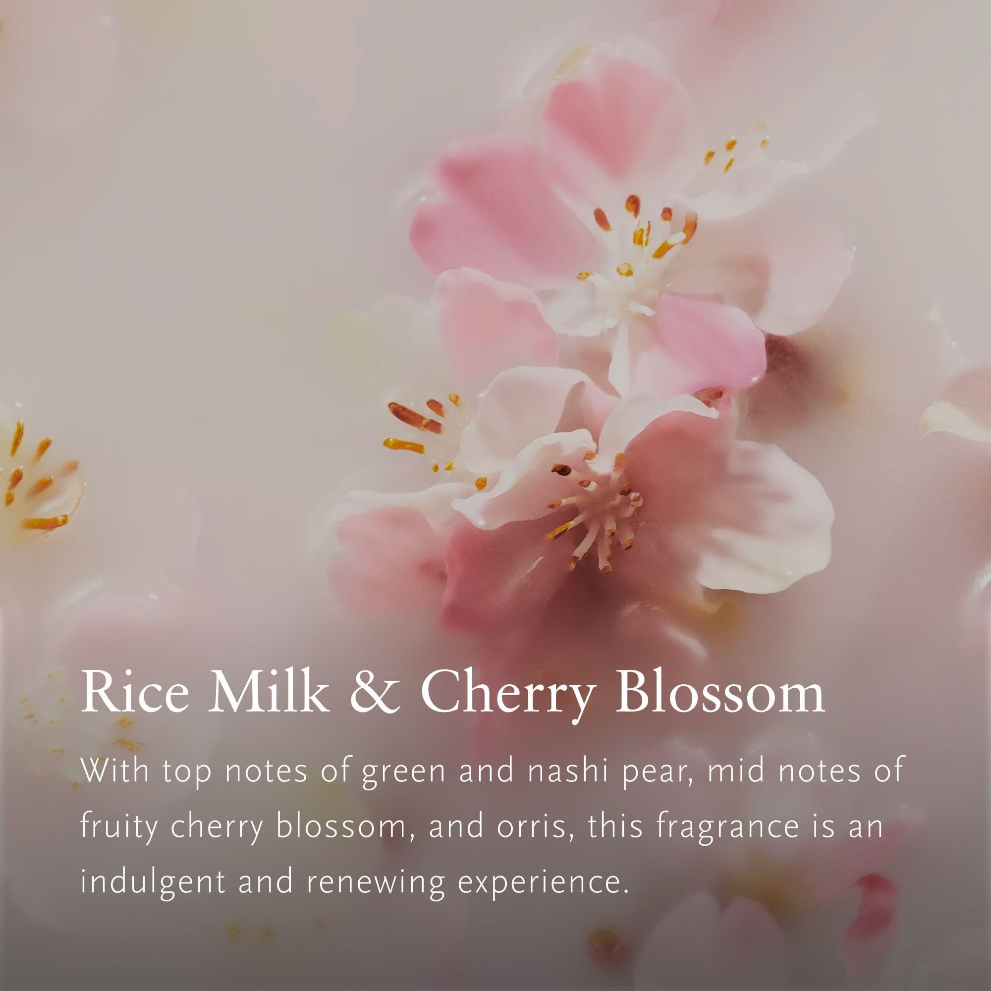 Rituals The Ritual of Sakura Désodorisant Voiture avec 2 Recharges (2 x 3 g).