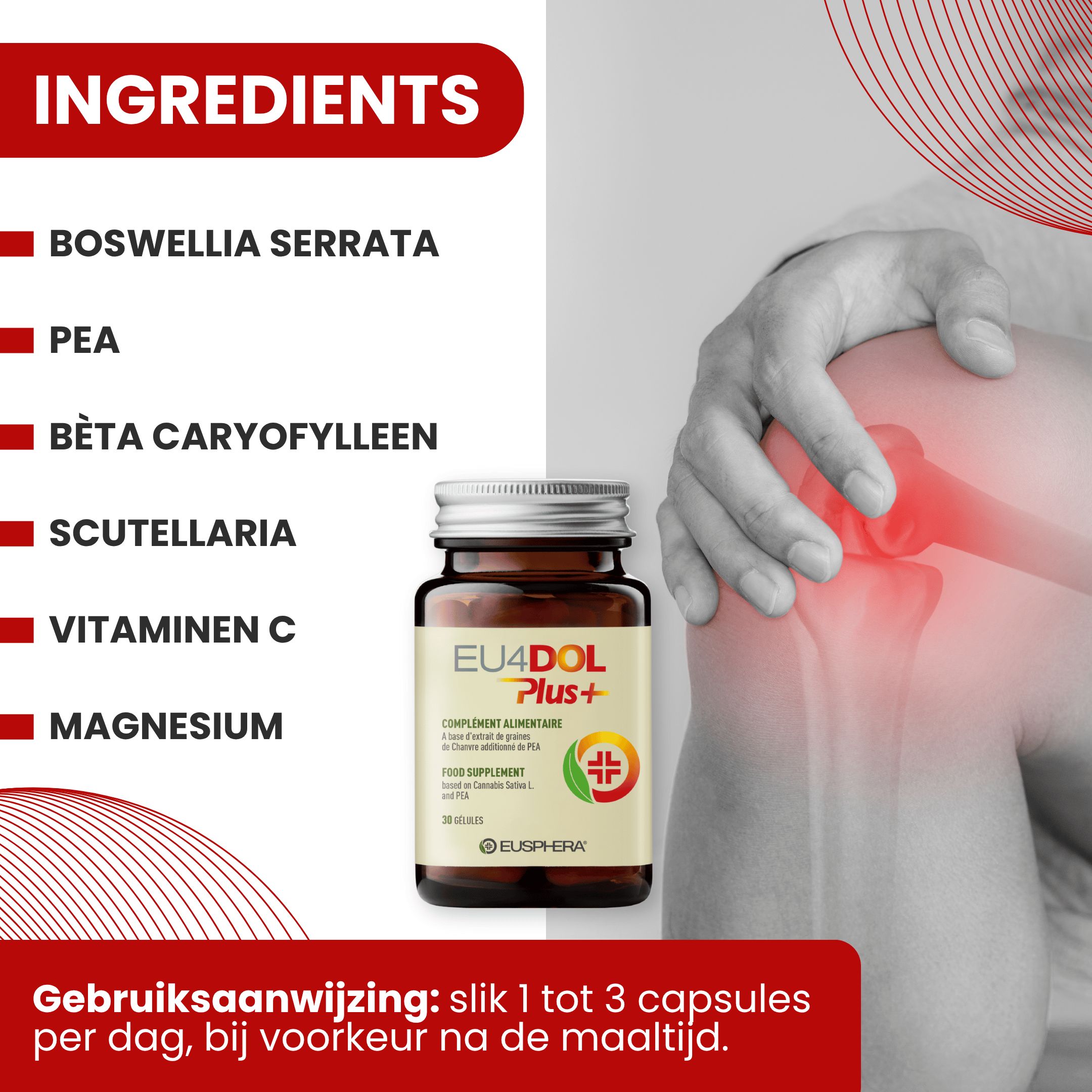 Ingrediënten: Boswellia, PEA, Bèta-caryofylleen, Scutellaria, Vitamine C, Magnesium. Fles EU4DOL Plus+.