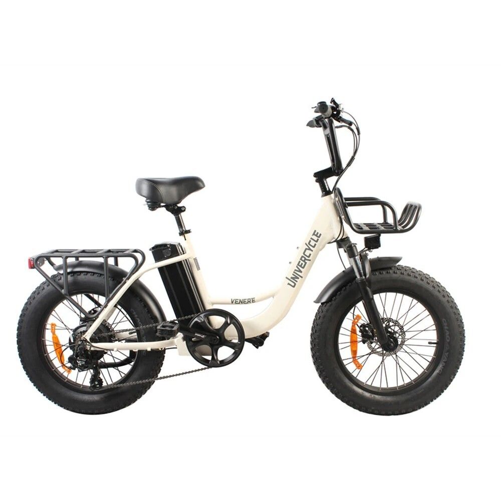 Univercycle B5(Venere) Elektrische fiets met voordrager, 48V 15AH accu