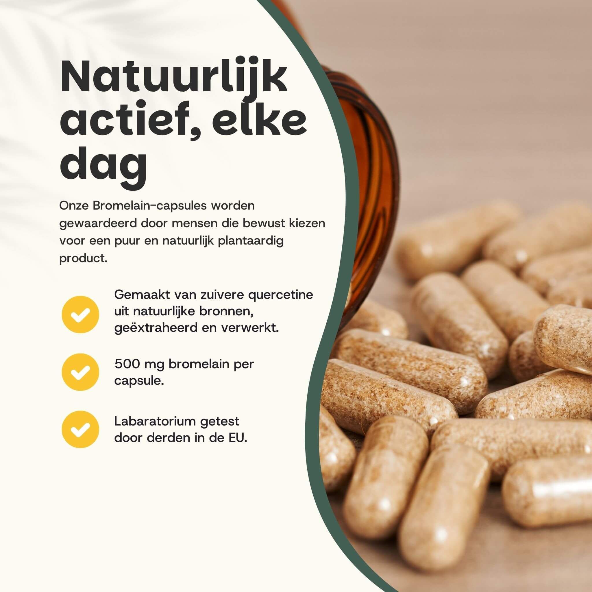 Bruine capsules, uit een bruine fles. Tekst: 500 mg bromelaïne per capsule. Laboratorium getest.