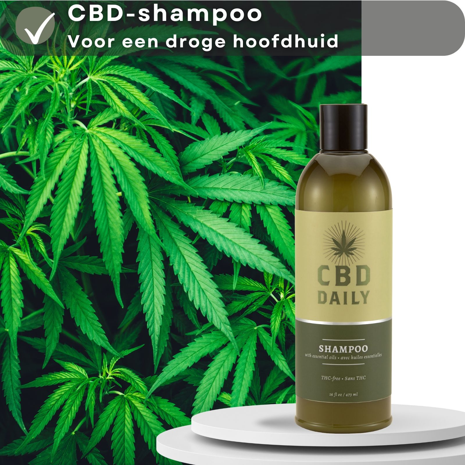 Fles CBD-shampoo. Tekst: CBD-shampoo, voor een droge hoofdhuid.