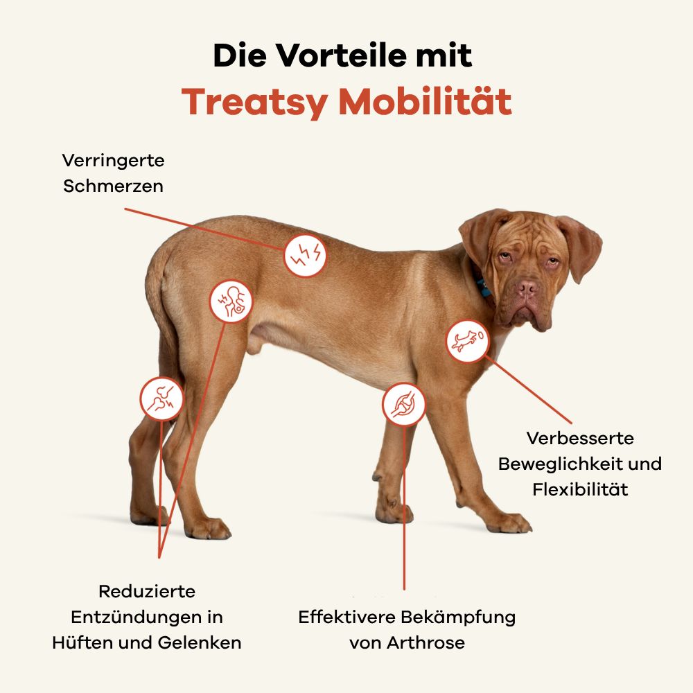 Hond met rode markeringen. Tekst: De voordelen met Treatsy Mobiliteit. Verminderde pijn, artrose, mobiliteit.