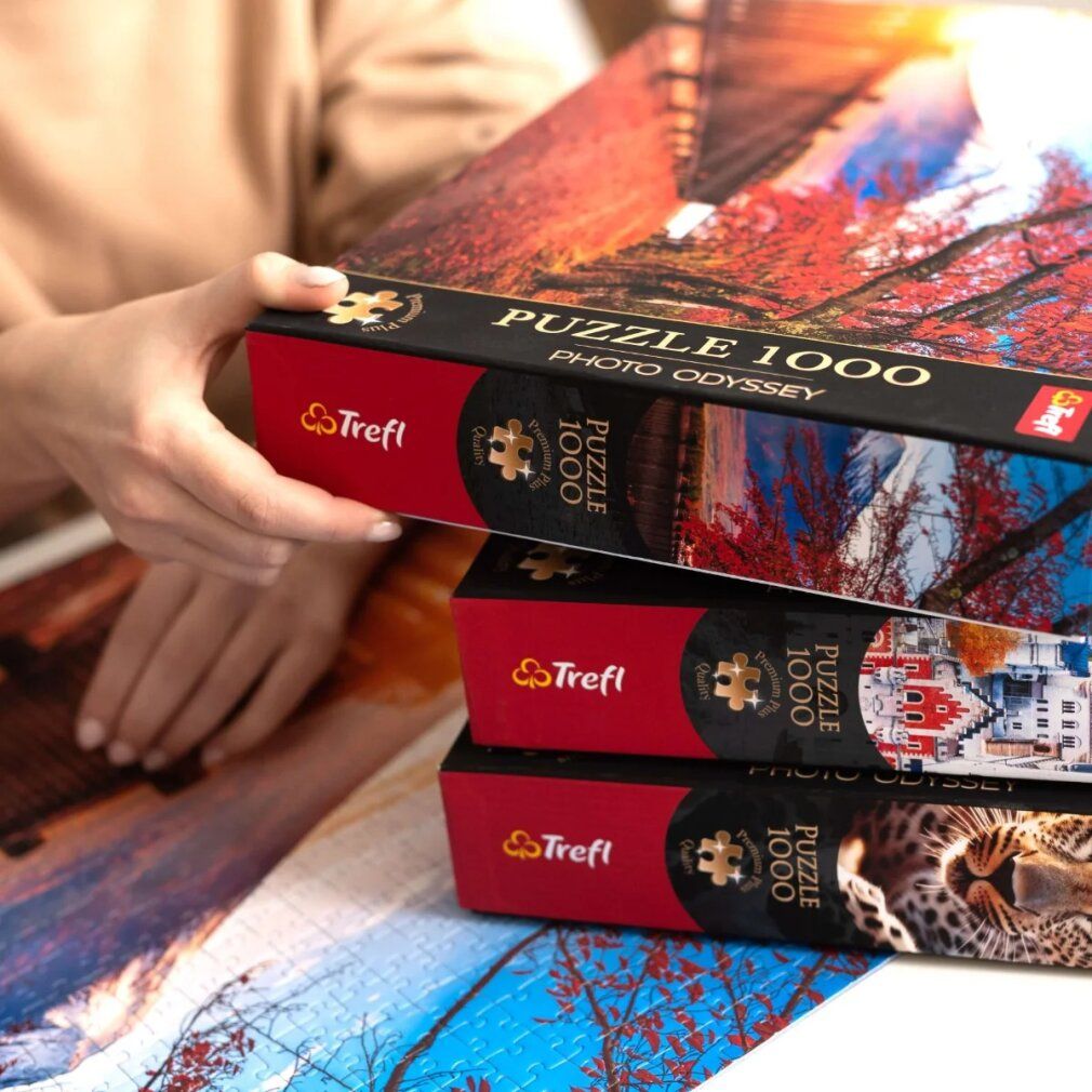 Trois boîtes de puzzle, marque Trefl, 1000 pièces. Motifs : paysage, feuillage d'automne, léopard. Boîtes tenues par des mains.