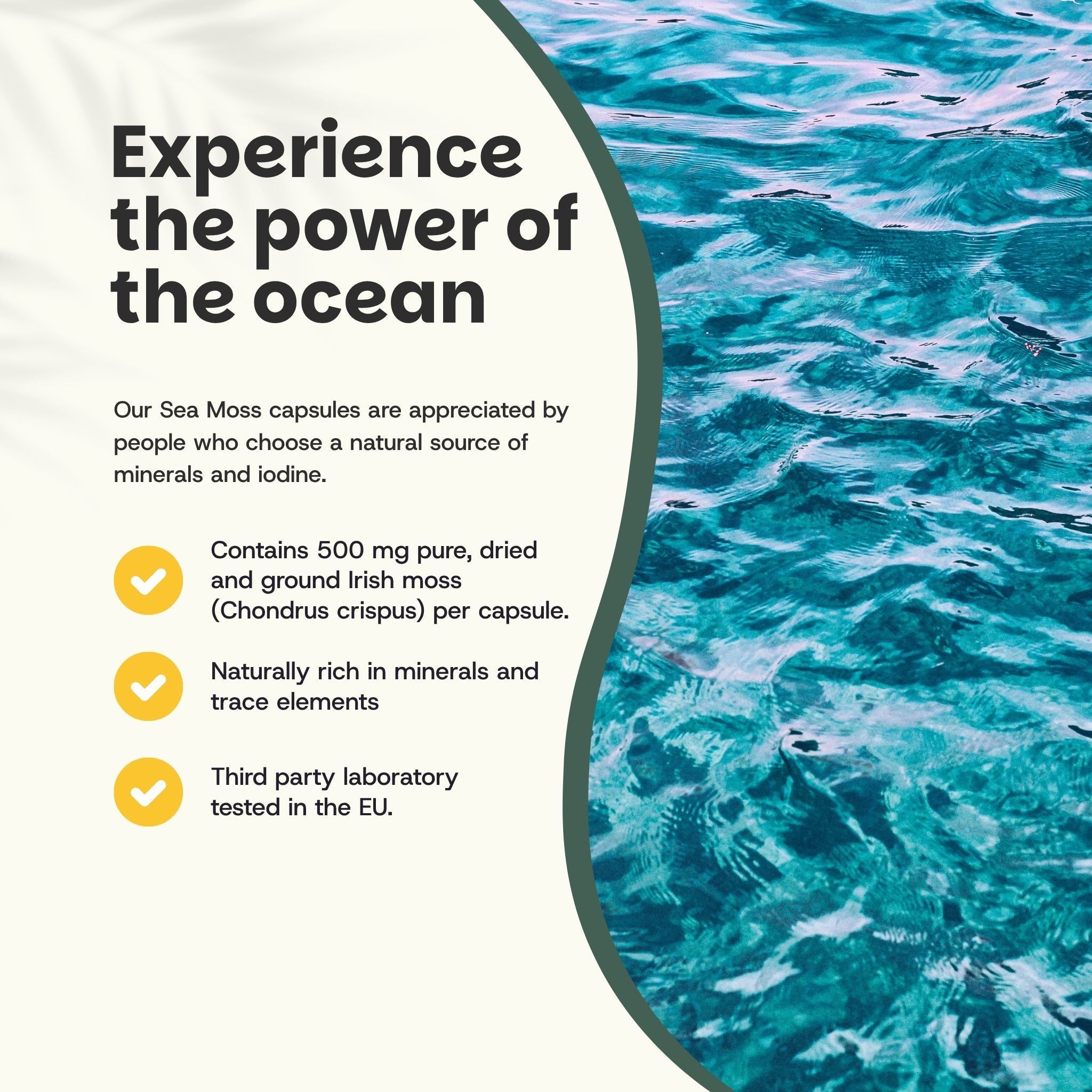 Texte: Contient 500 mg de mousse irlandaise séchée par gélule. Riche en minéraux et oligo-éléments. Testé en laboratoire UE.