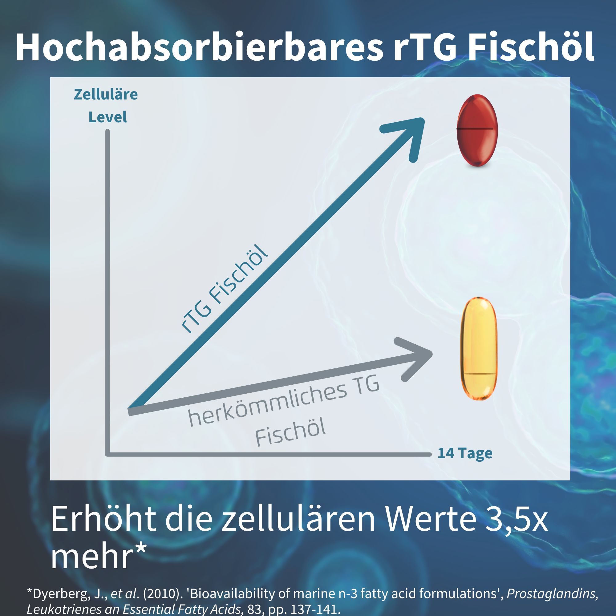 Graphique montrant des niveaux cellulaires plus élevés avec l'huile de poisson rTG par rapport à l'huile de poisson standard.