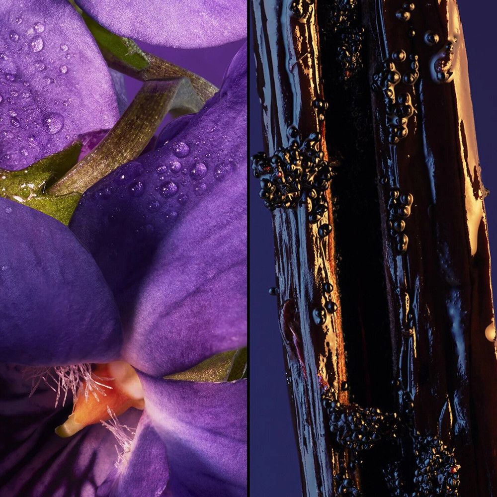 Image en deux parties. Gauche : fleur violette avec gouttes d'eau. Droite : surface brun foncé brillante avec bulles.