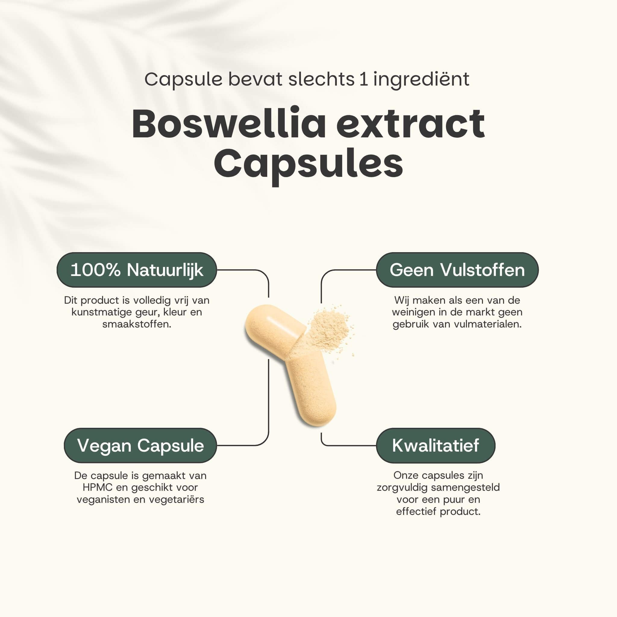 Cupplement - Boswellia Extract  500 mg