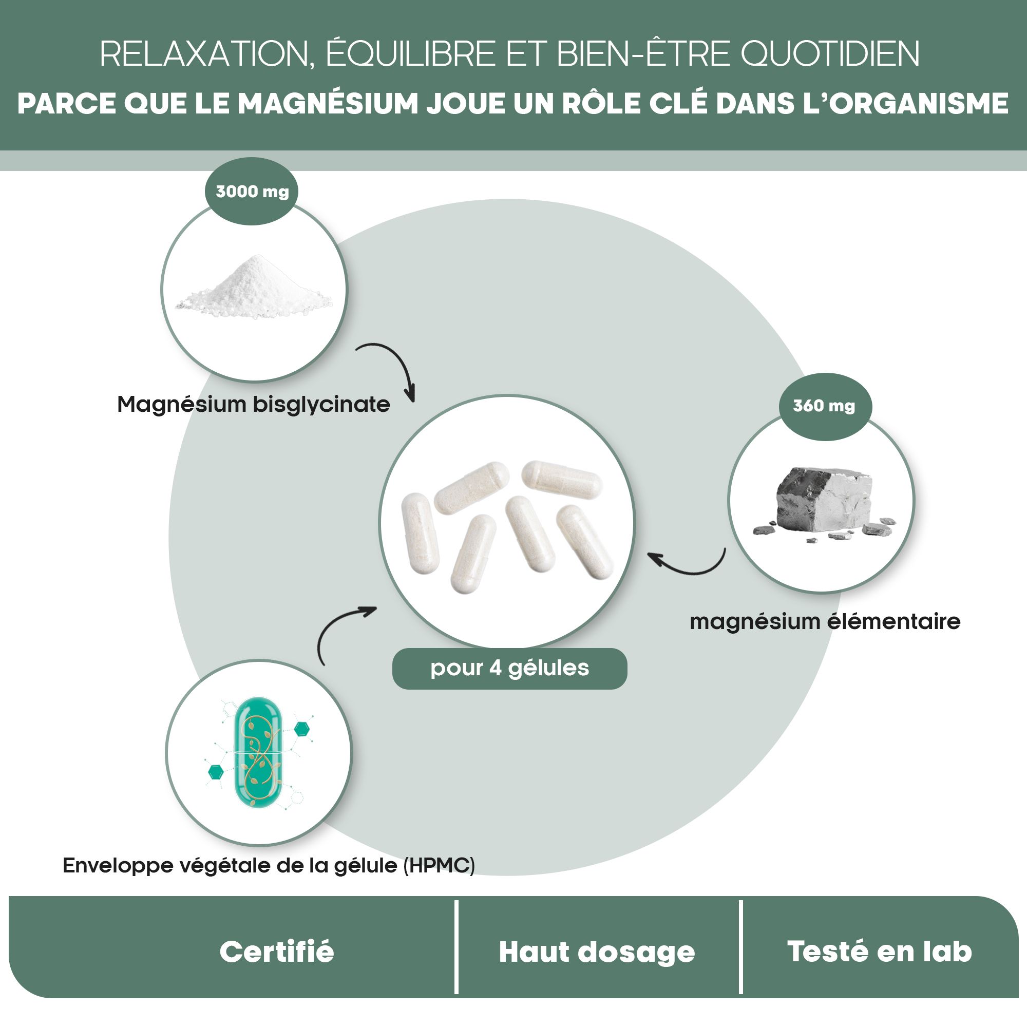 Schéma : poudre de Magnésium Bisglycinate, magnésium élémentaire, enveloppe de gélule.