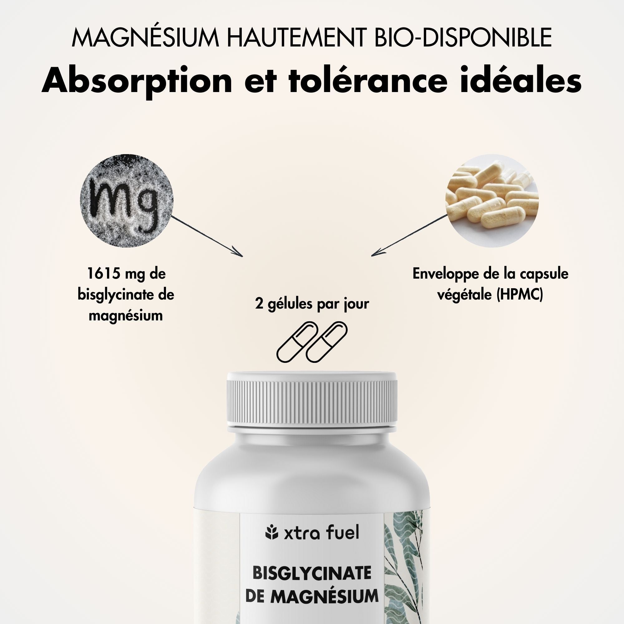 Flacon blanc de gélules. À côté: symbole Mg, gélules. Texte: Bisglycinate de magnésium. 2 gélules par jour.