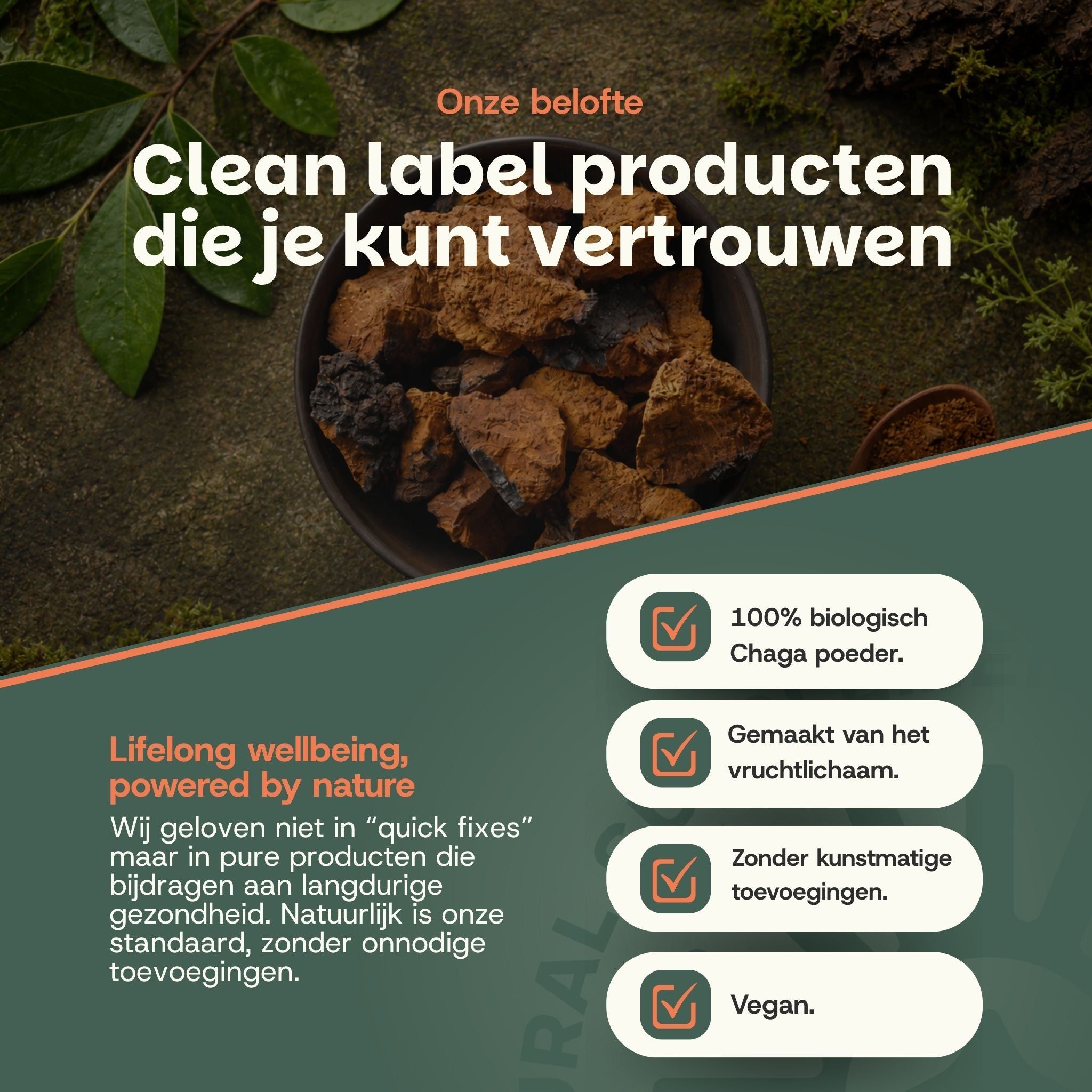 Chaga paddestoelstukken in een kom, omringd door bladeren. Lijst met productkenmerken.