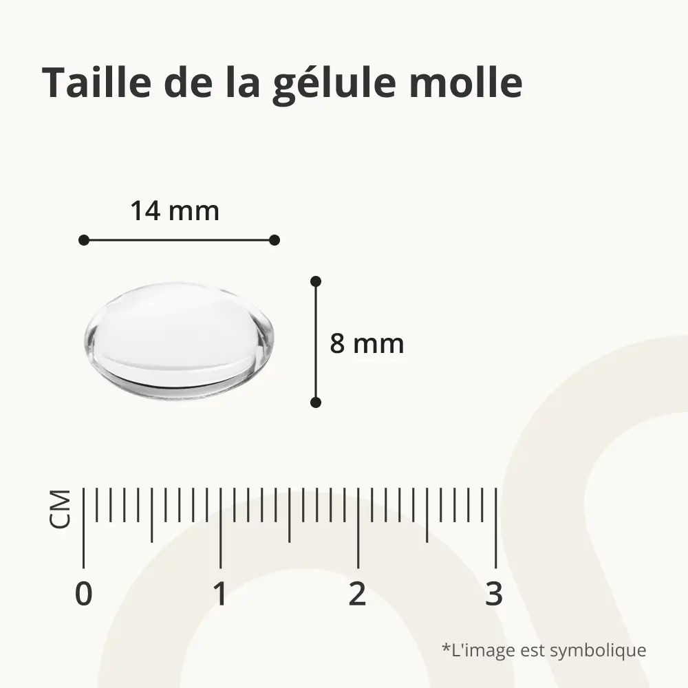 Gélule molle avec dimensions: 14 mm x 8 mm. Échelle en cm.