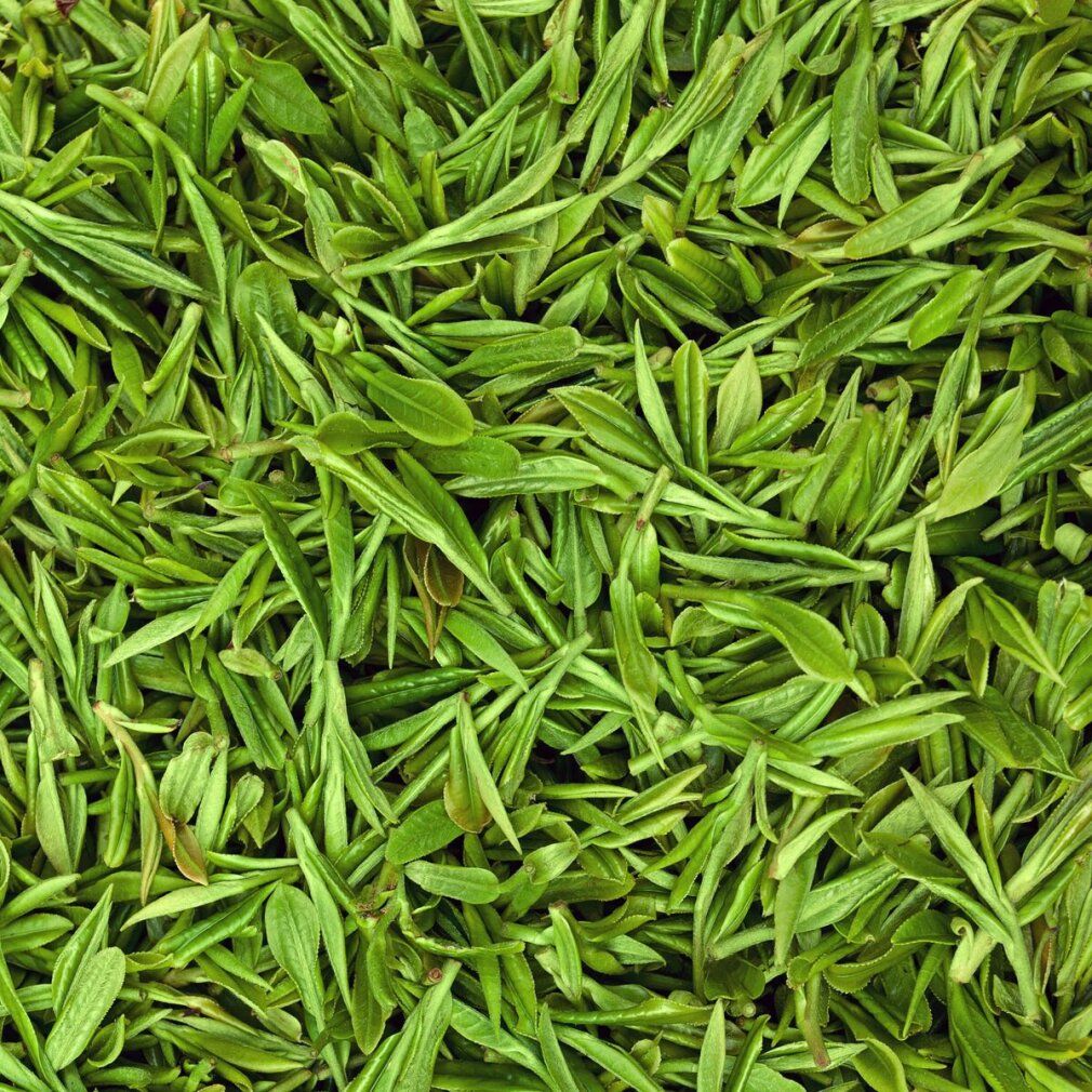 Shampooing de désintoxication profonde pour la désintoxication