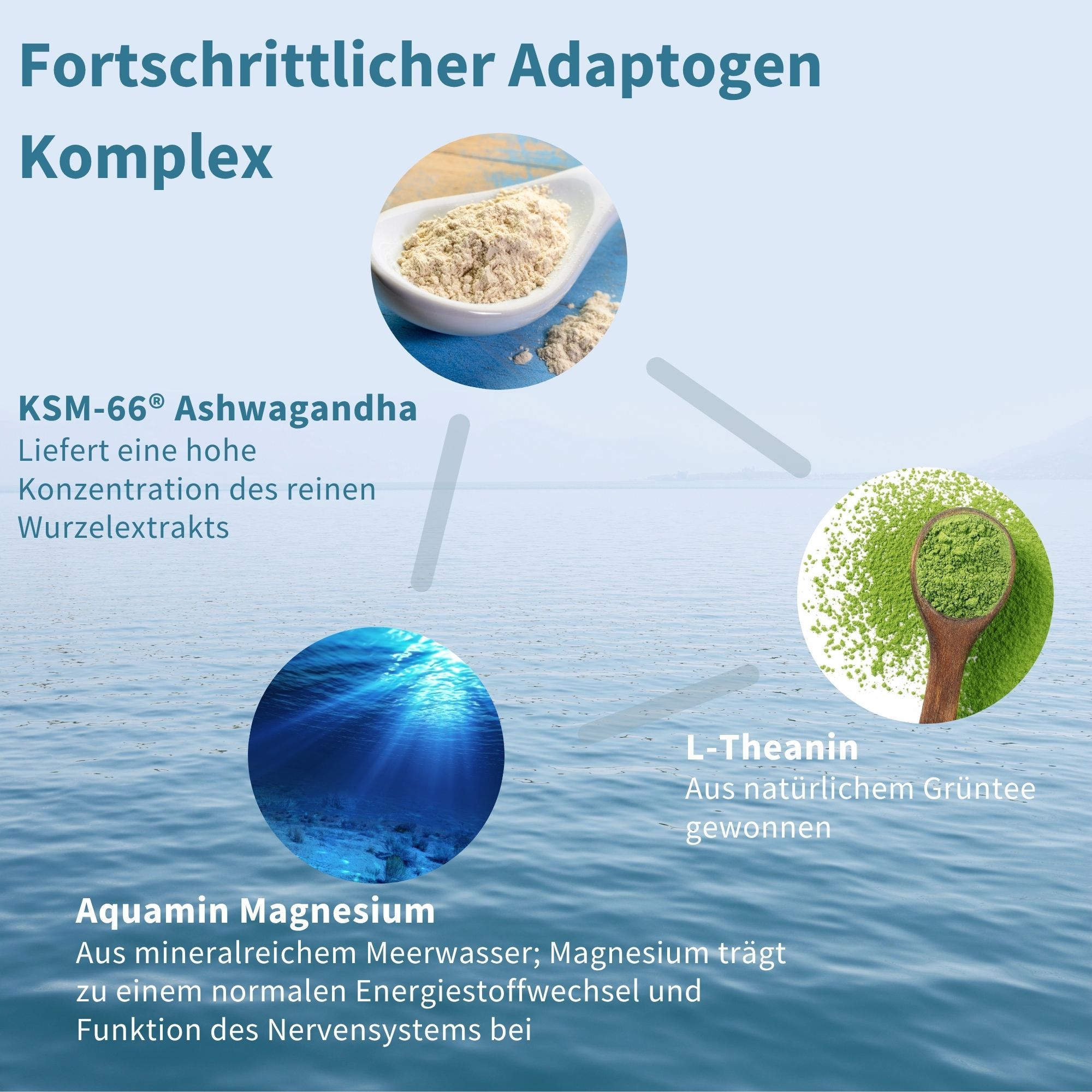 Graphique avec KSM-66 Ashwagandha, L-Théanine de thé vert et Aquamin Magnésium.