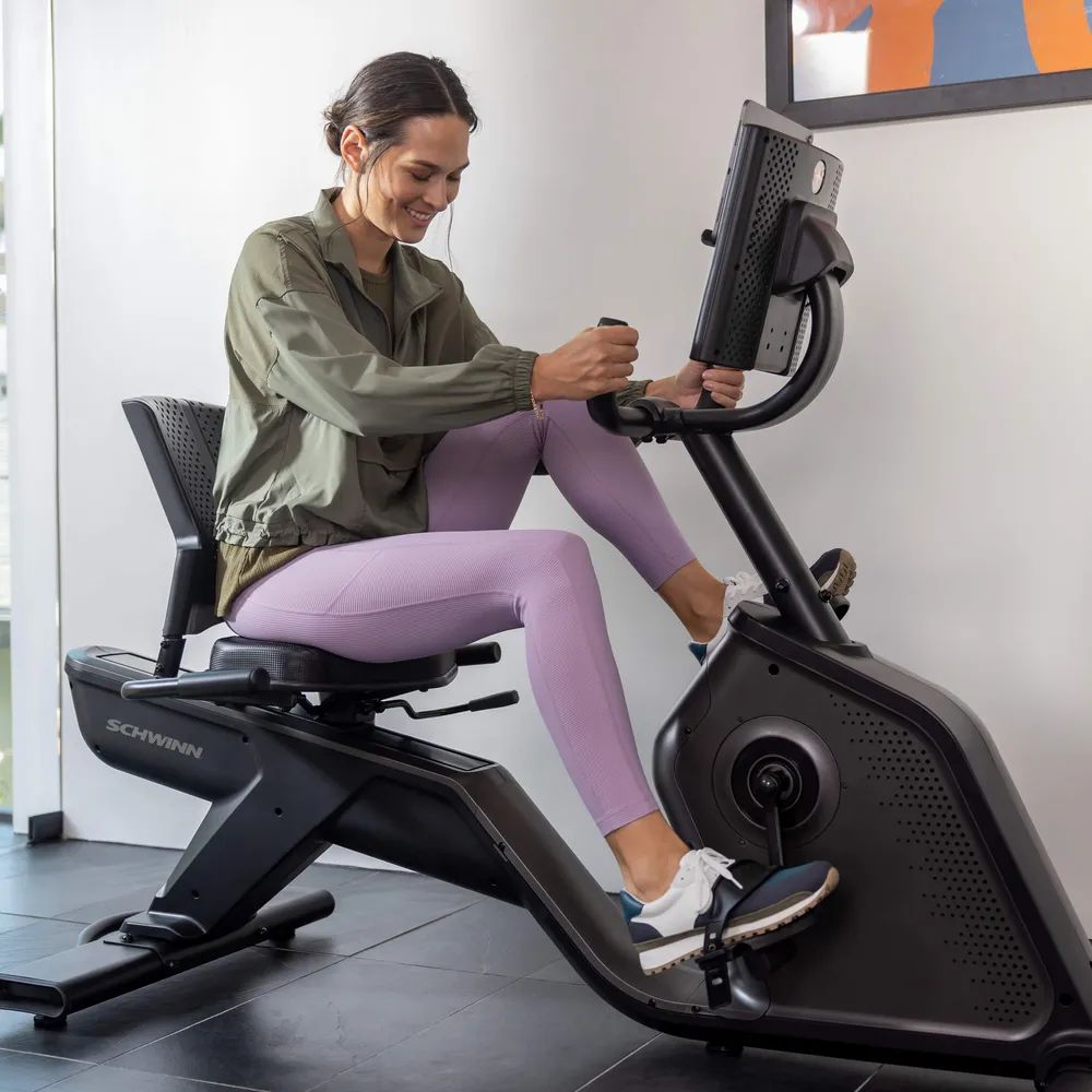 Schwinn Fitness 590R