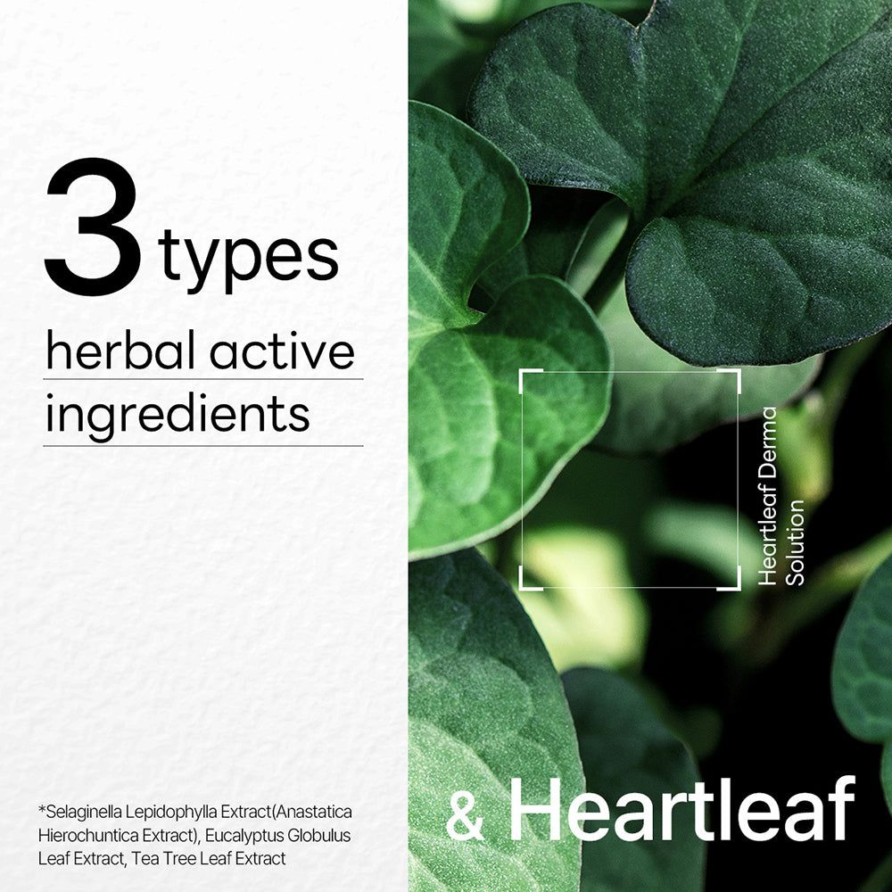 Tekst "3 types herbal active ingredients" en groene bladeren. Tekst op witte achtergrond.