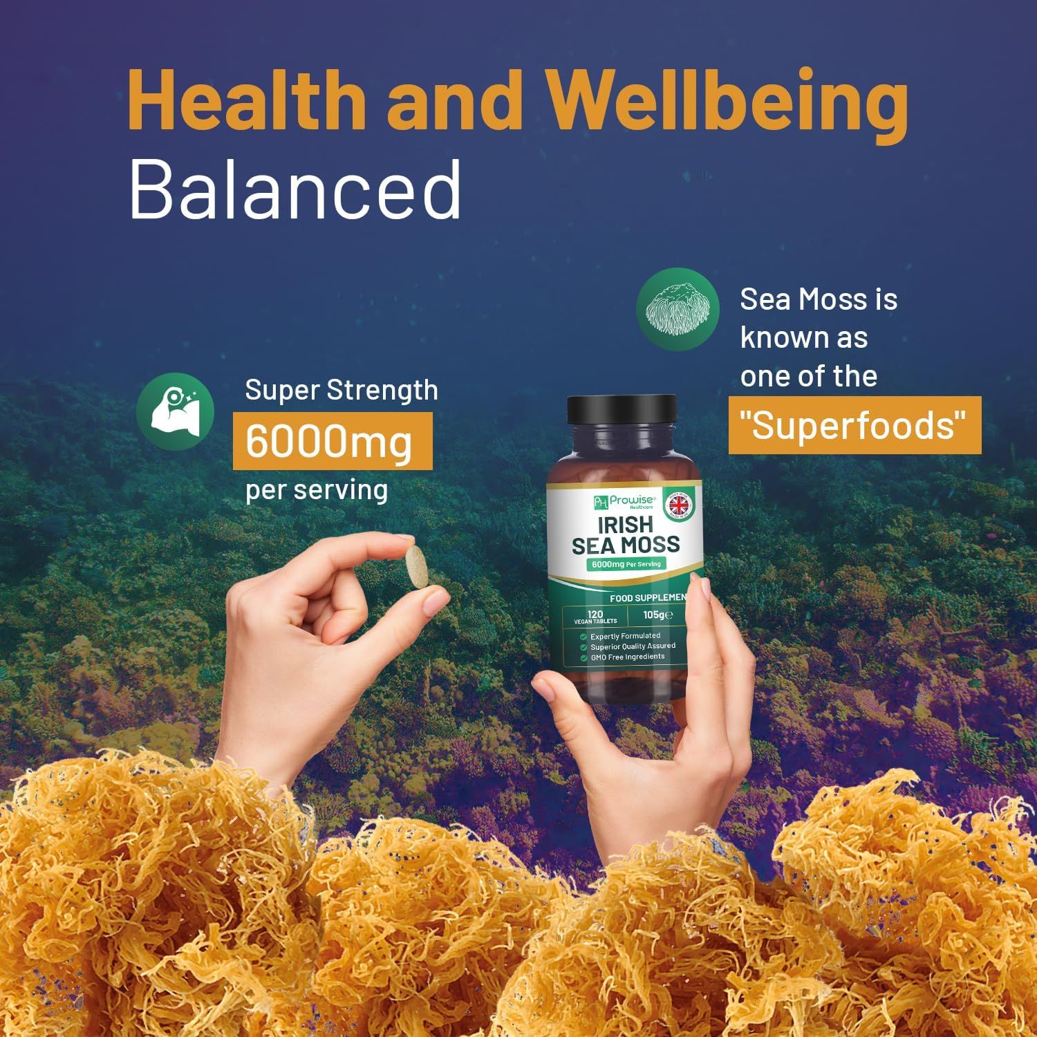 Handen houden een tablet en een fles Prowise Irish Sea Moss Tabletten. Opschrift: 6000mg per portie. Achtergrond: zeewier.