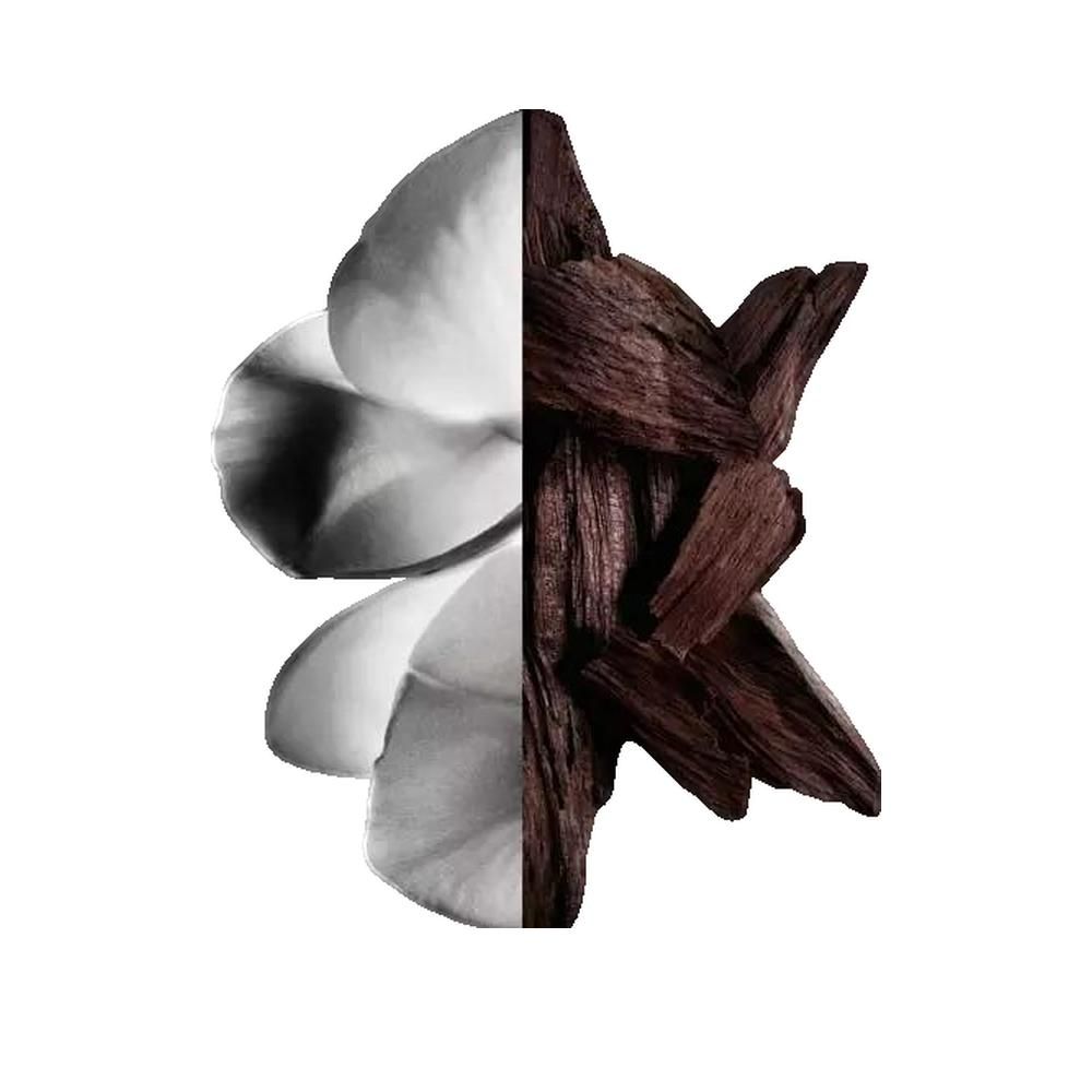 Image divisée. À gauche, pétales blancs. À droite, morceaux de bois brun foncé.