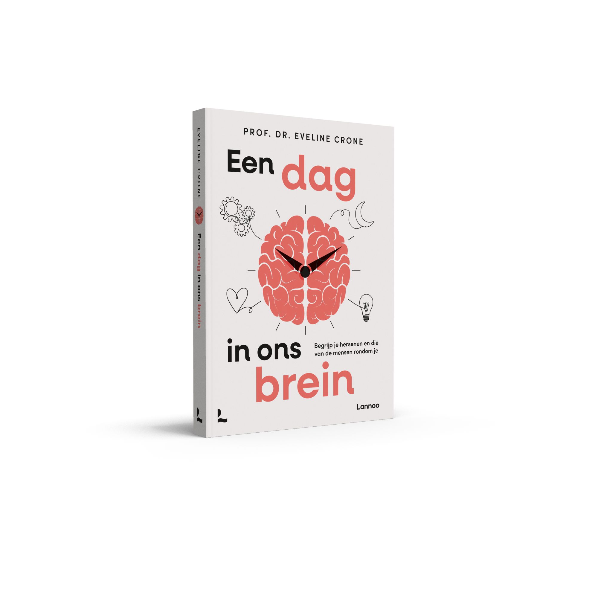 Livre "Een dag in ons brein" en perspective. Couverture avec illustration du cerveau. Auteur : Prof. Dr. Eveline Crone. Éditeur : Lannoo.