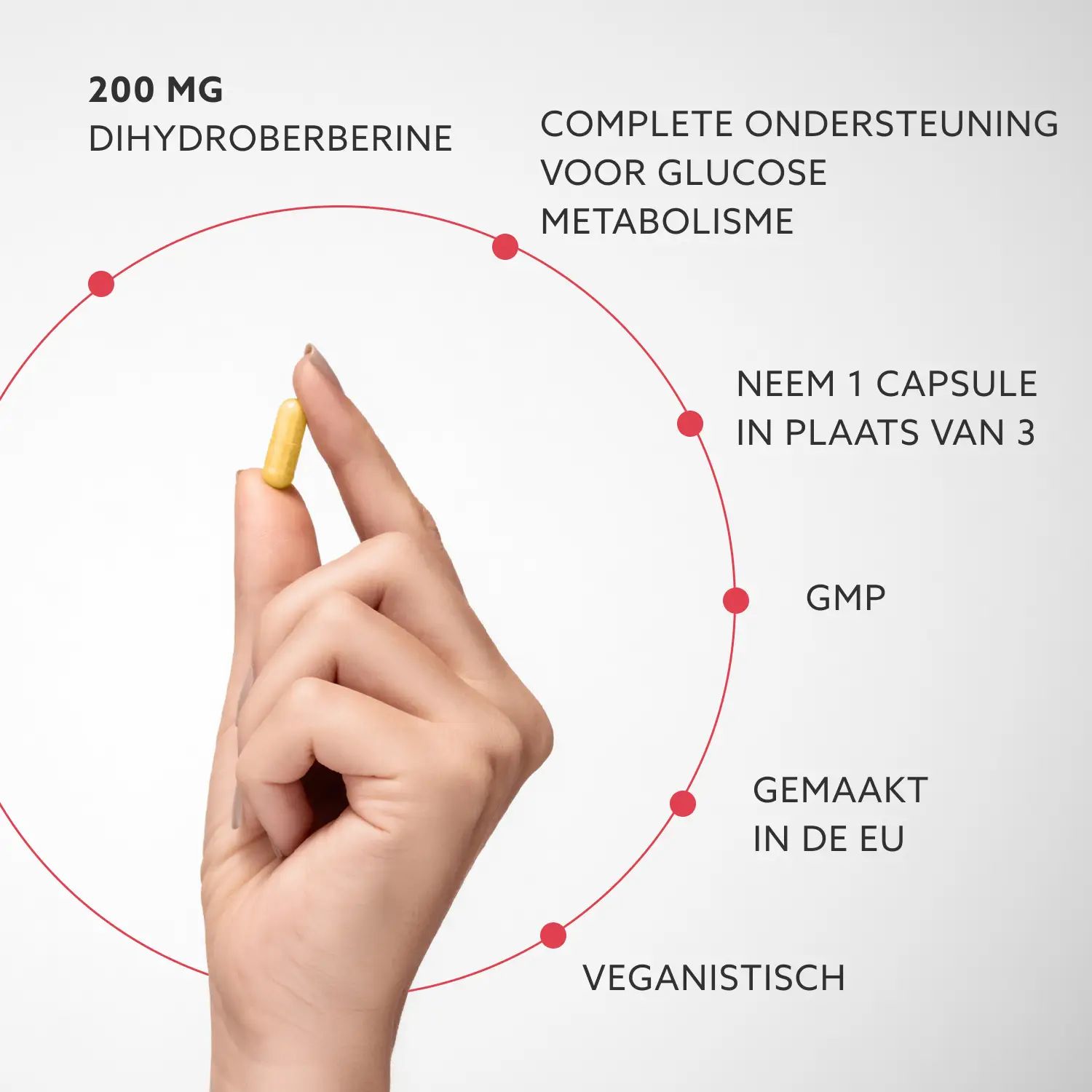 Hand houdt een gele capsule vast. Tekst: 200 MG Dihydroberberine, Veganistisch, GMP, gemaakt in de EU, volledige ondersteuning.