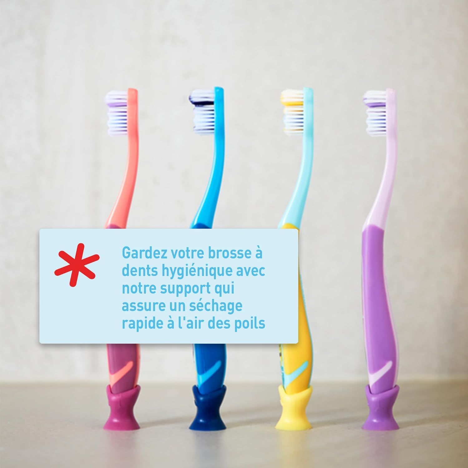 Quatre brosses à dents de couleurs vives (rose, bleu, bleu clair, violet) dans un support pour un séchage rapide.