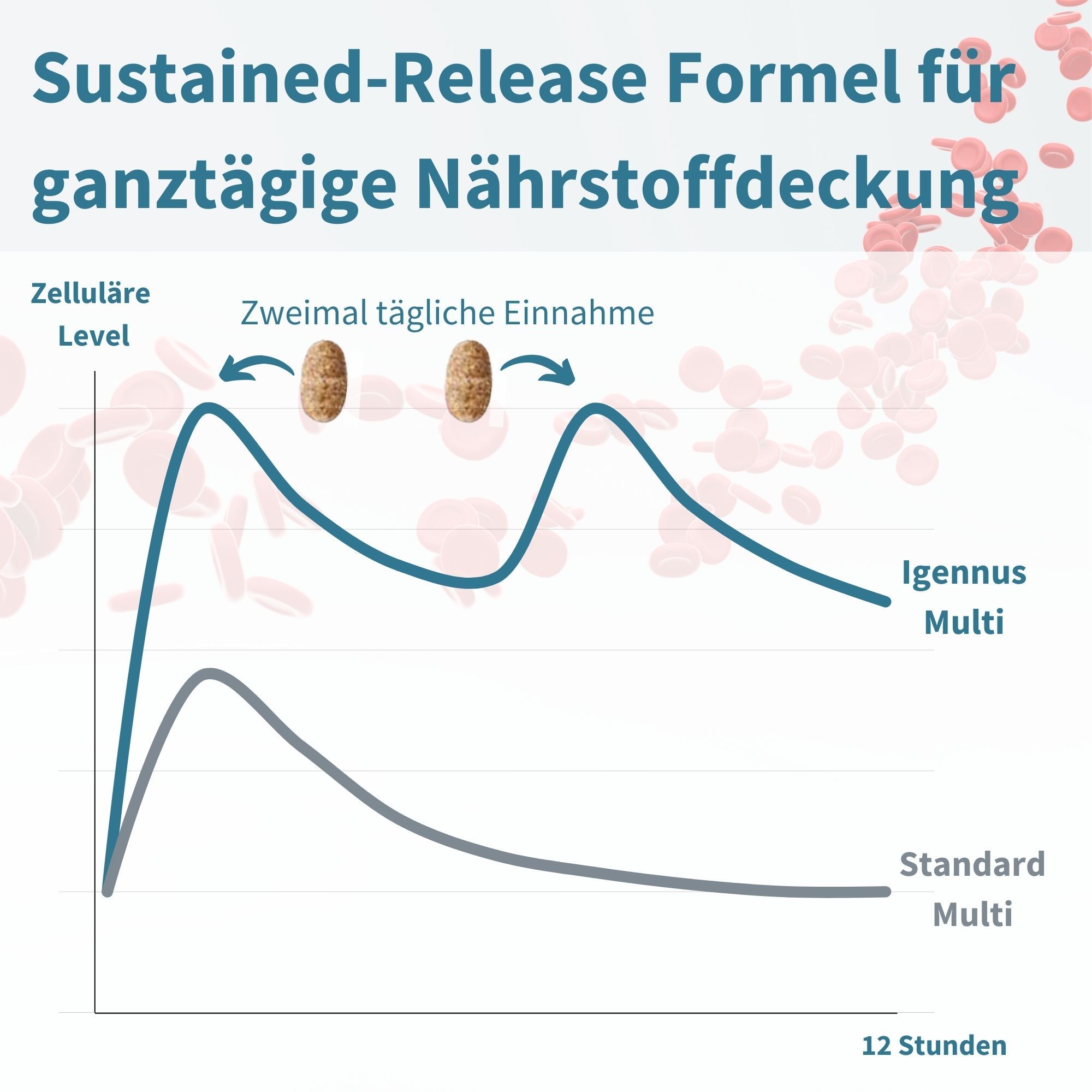 Graphique montrant les niveaux de nutriments sur 12 heures : Igennus Multi vs Multi Standard.