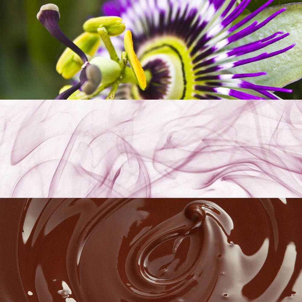 Gros plan d'une fleur de la passion, de la fumée et du chocolat fondu disposés en bandes horizontales.