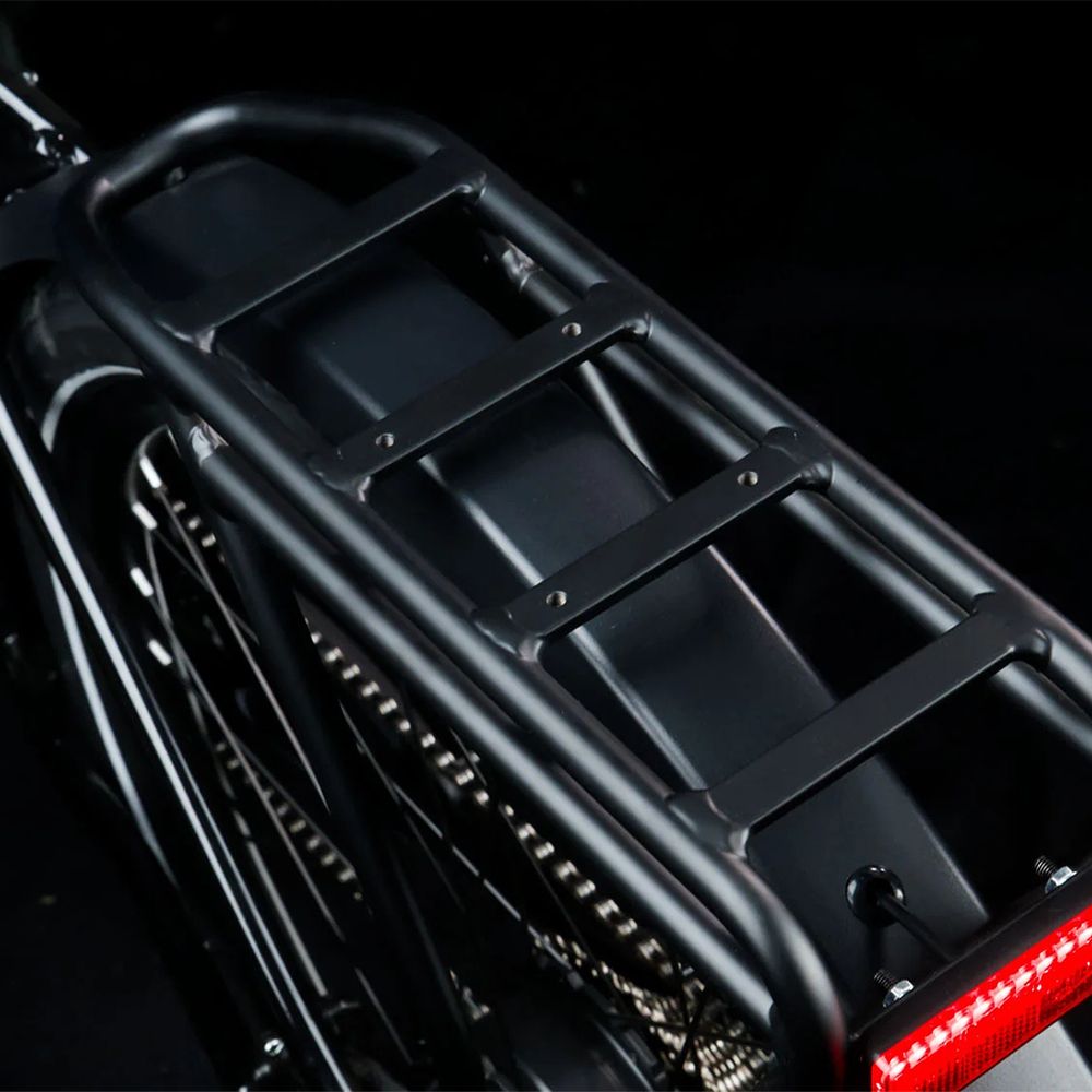 Zwarte bagagedrager met achterlicht op een e-bike. De drager heeft drie horizontale staven.