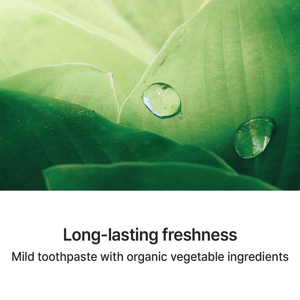 Groene bladeren met waterdruppels. Tekst: "Long-lasting freshness, Mild toothpaste with organic vegetable ingredients".