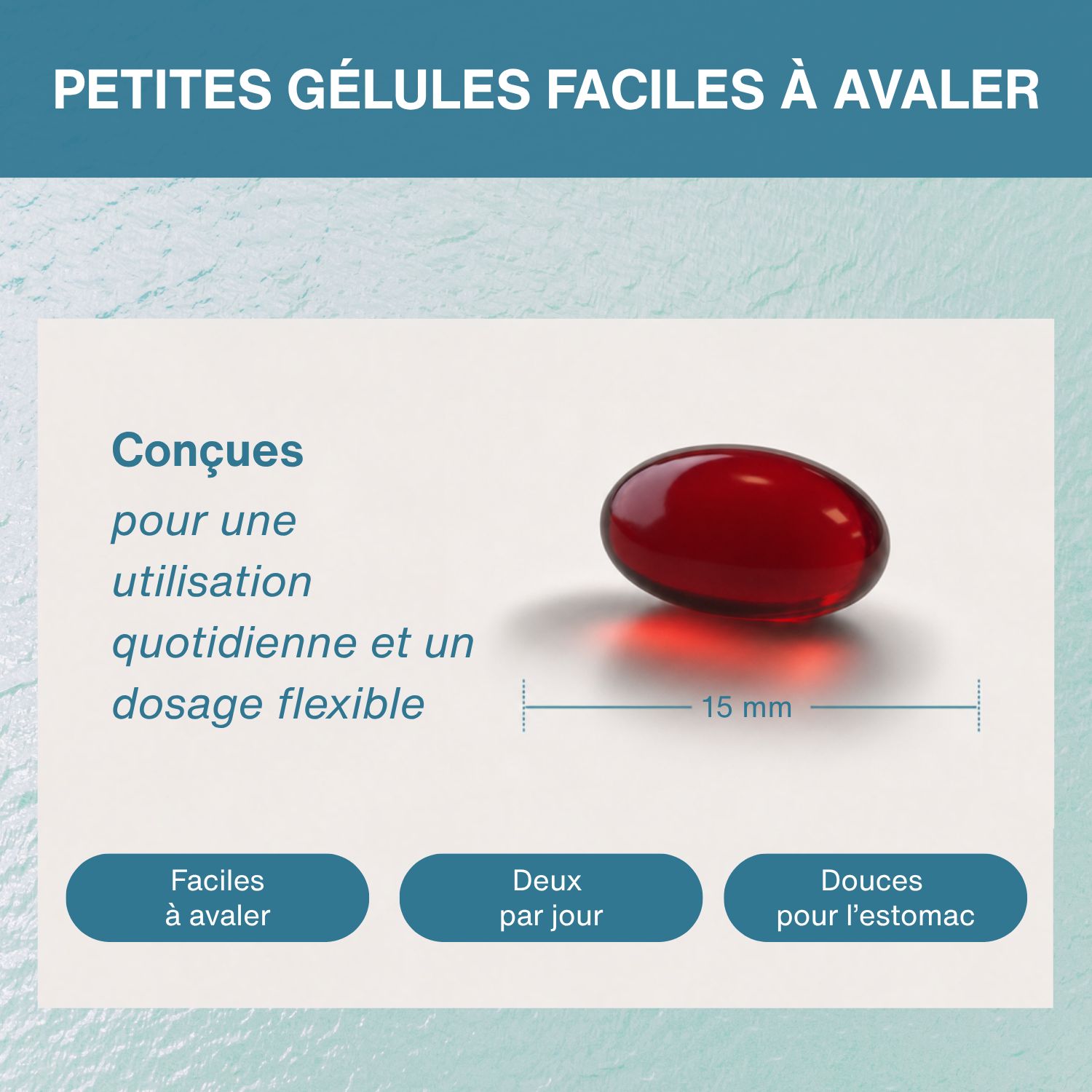 Gélule rouge ovale de 15 mm de long, sur fond blanc.