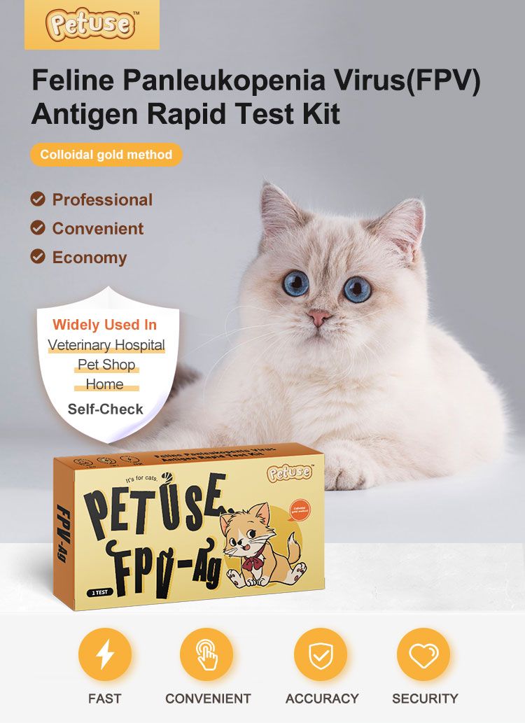 Emballage du produit avec chat. Inscription : Feline Panleukopenia Virus Antigen Rapid Test Kit. Boîte jaune avec logo et texte.