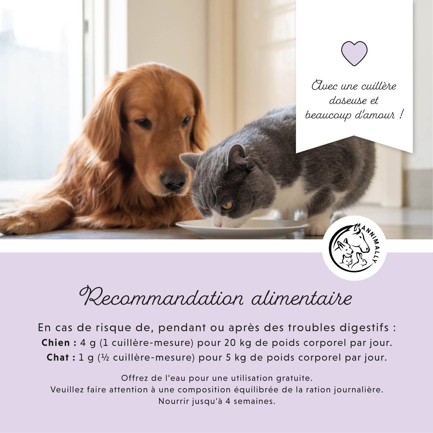 Chien et chat boivent dans un bol. Texte: Recommandation alimentaire. 4g par 20kg de poids corporel chien. 1g par 5kg chat.