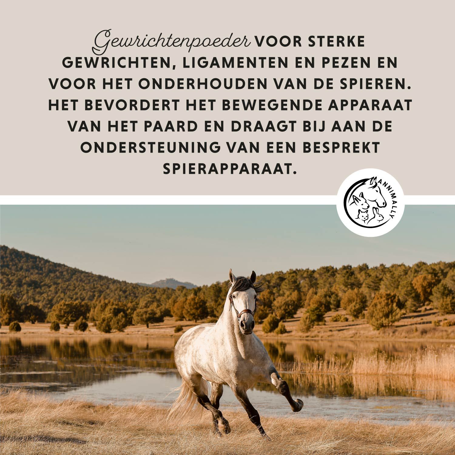Wit paard rent langs de oever. Tekst: Gewrichtenpoeder voor sterke gewrichten. Logo: Annimally.