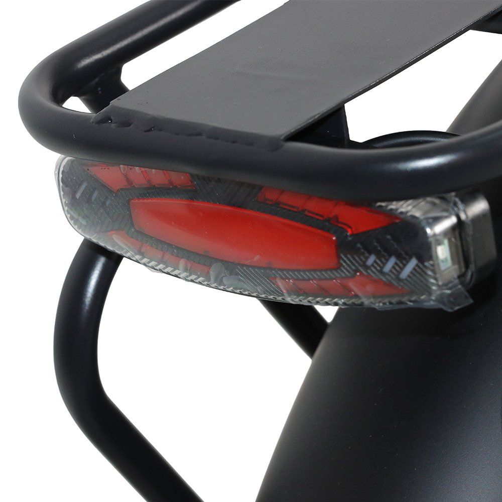 BAOLUJIE DZ2002 Vélo électrique à gros pneus pour adultes, batterie amovible 48 V 16 Ah