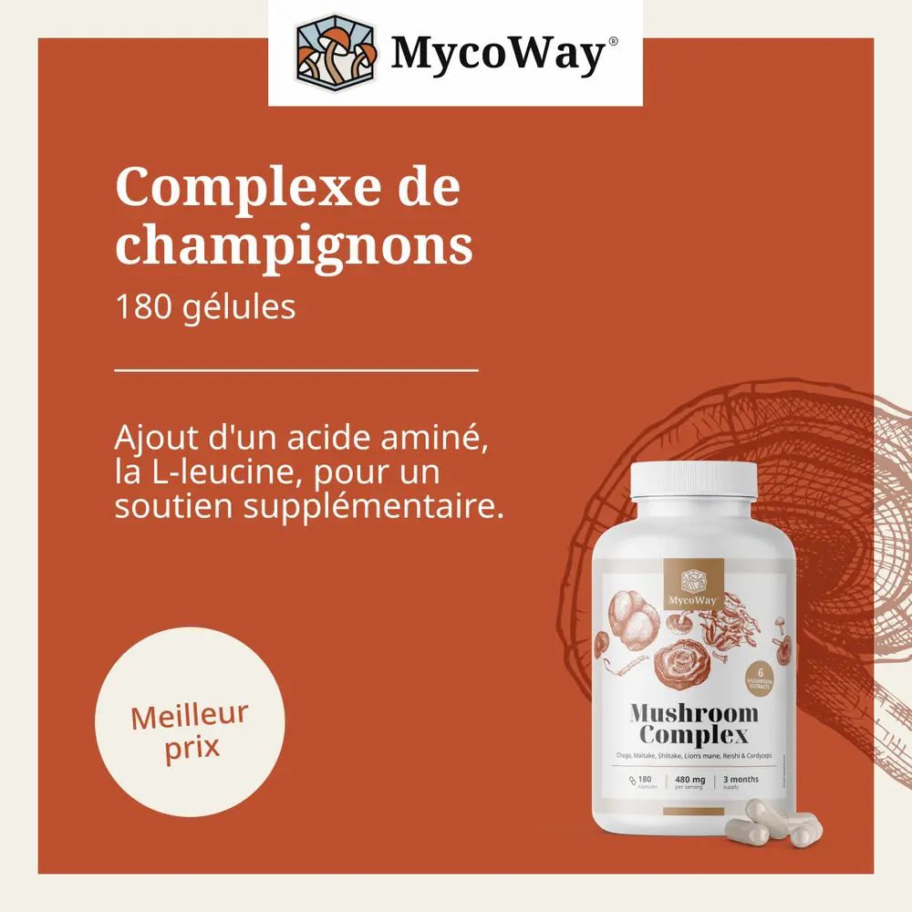 Fond brun avec flacon blanc. Inscription: Mushroom Complex. 180 gélules. Contient de la L-Leucine.